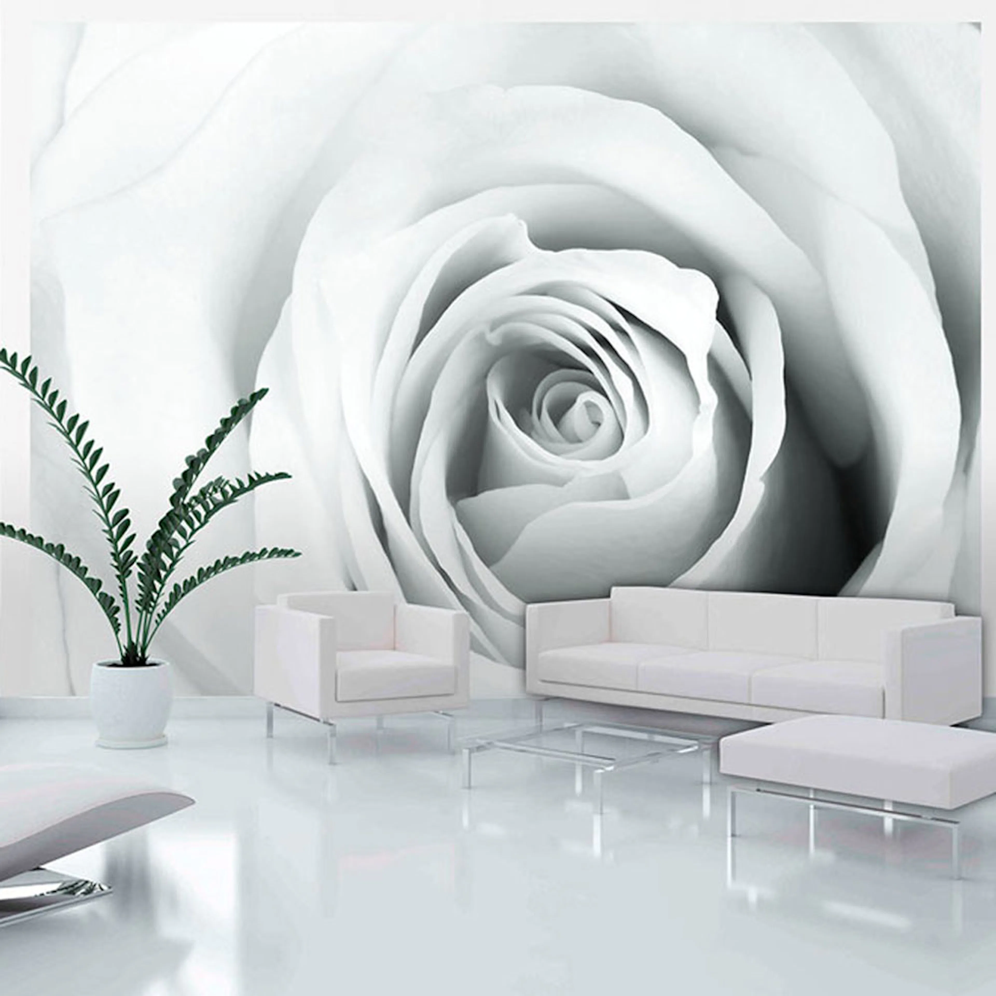 Fototapet Arkiio Rose Charade