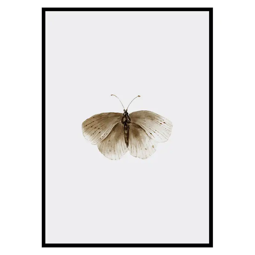Poster Gallerix Watercolor Butterfly