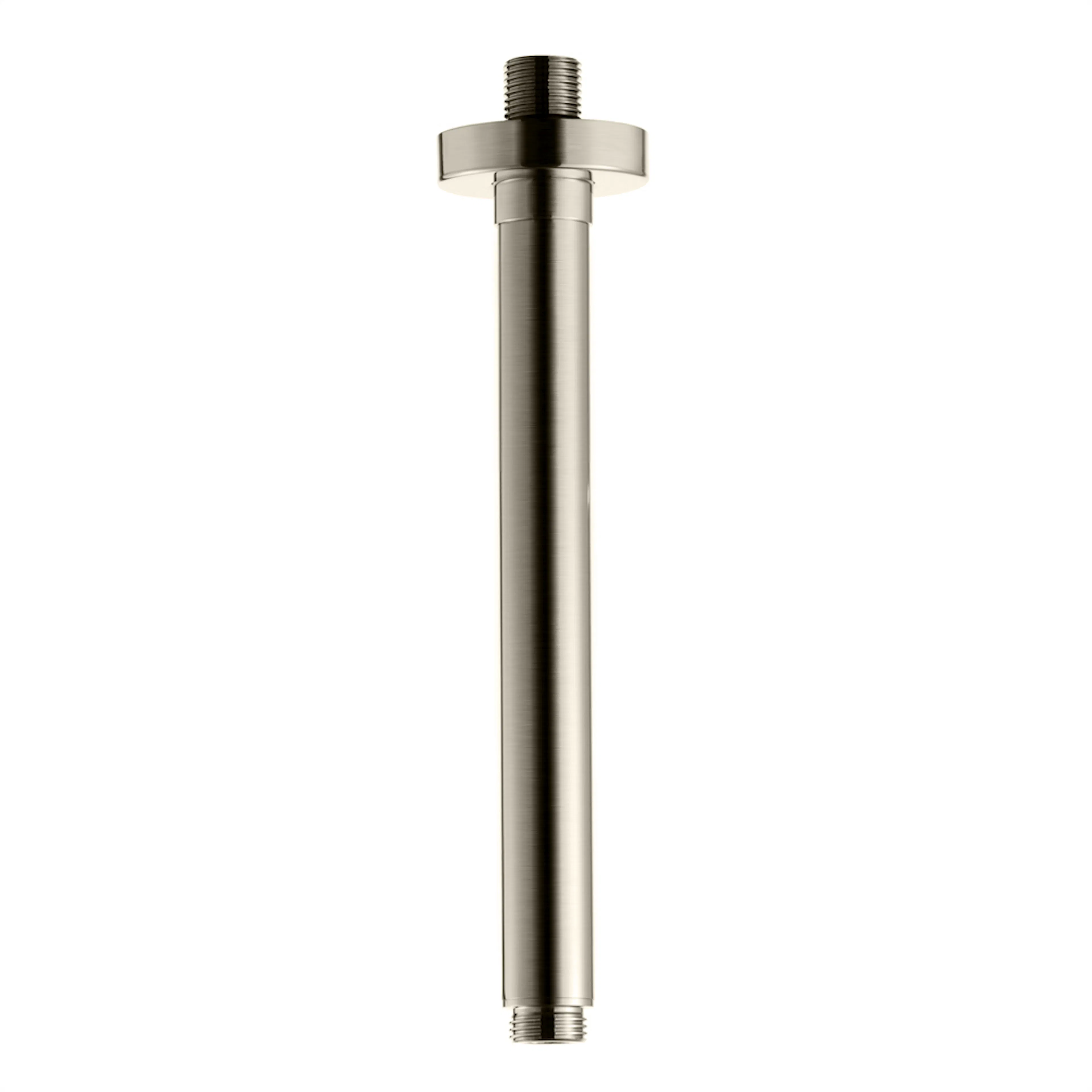 Borstad Nickel