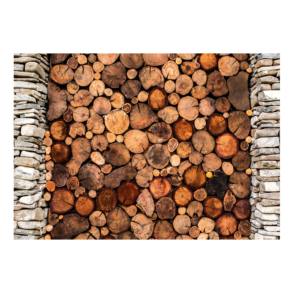 Fototapet Arkiio Wooden Gate