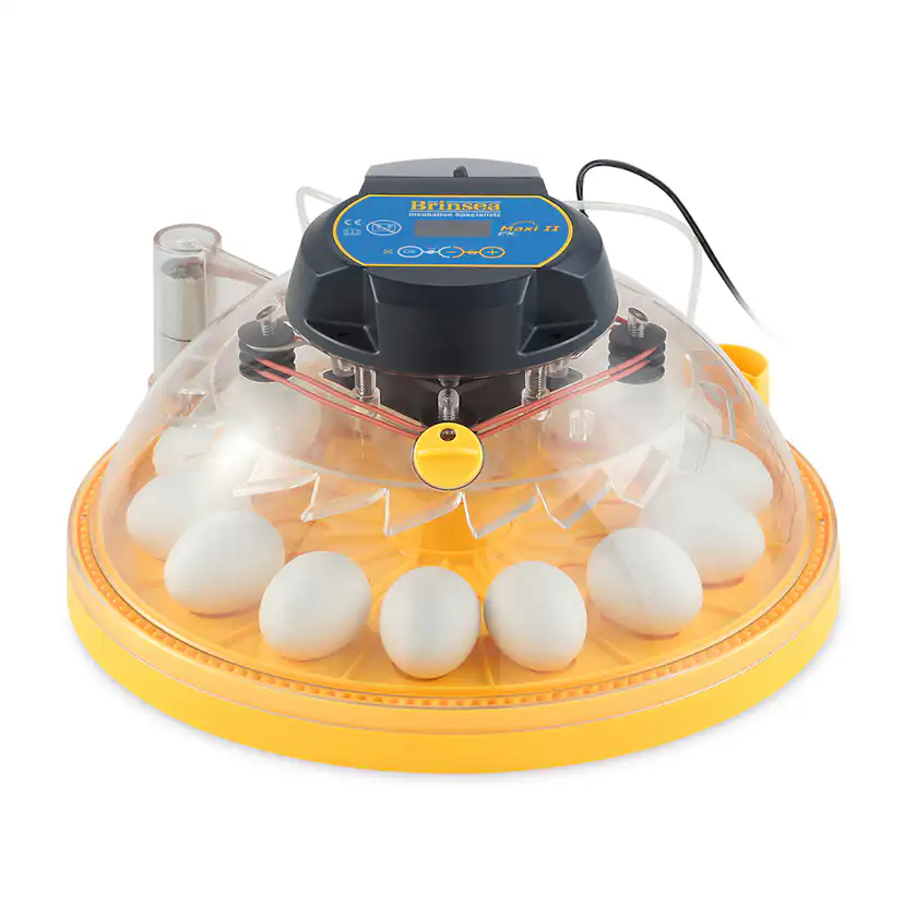 Äggkläckare Brinsea Maxi II EX