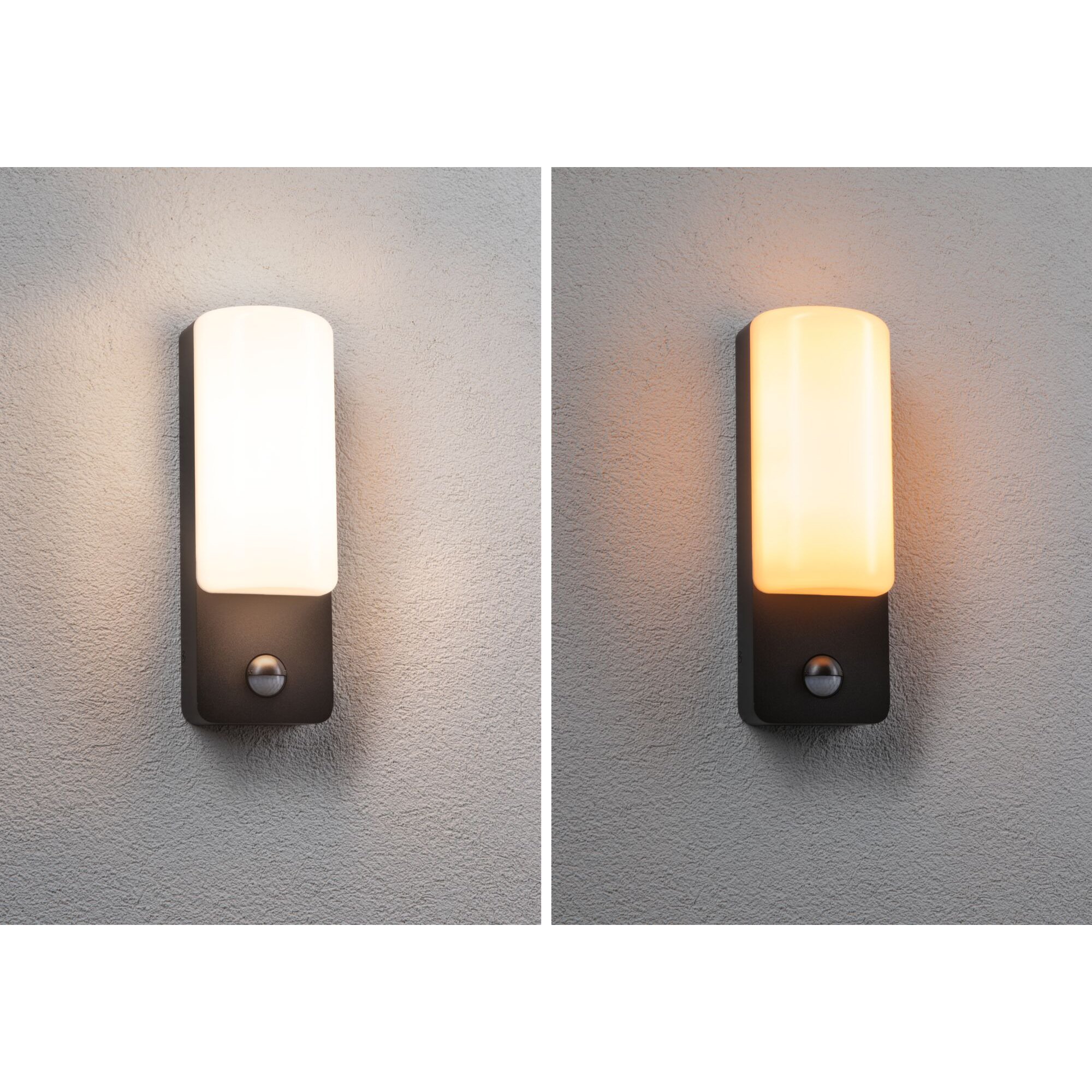 Fasadbelysning LED Paulmann Bonnie Seawater Resistant med Skymningsstyrd rörelsedetektor IP44 230V