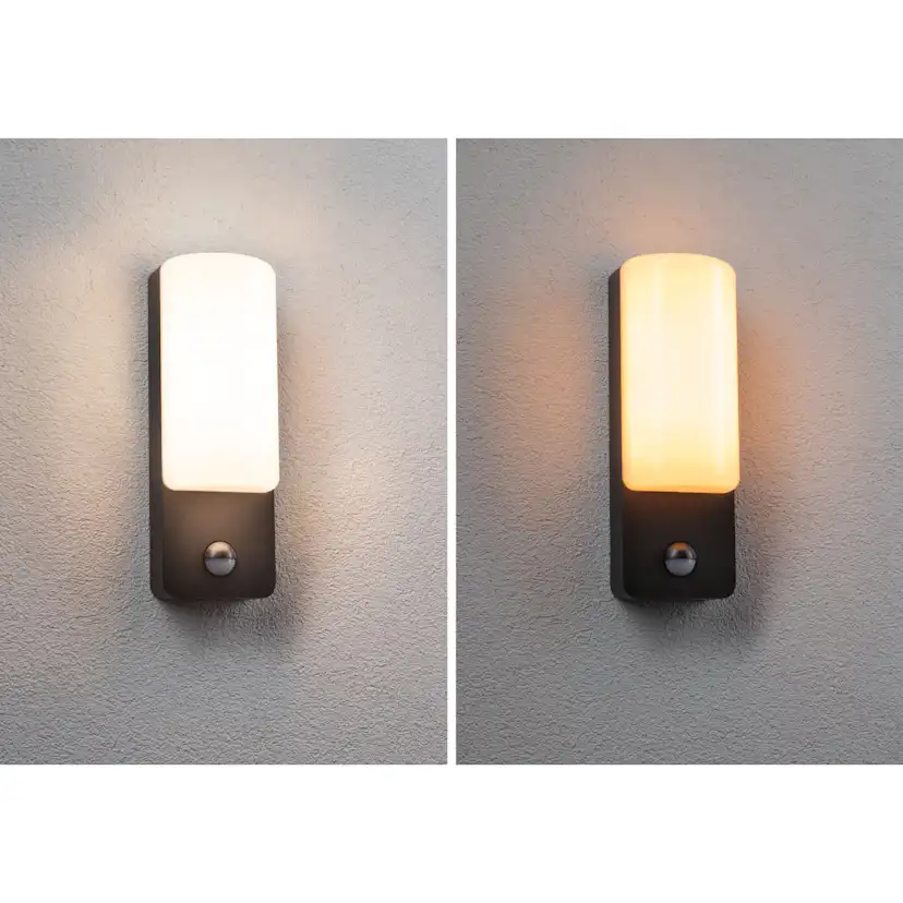 Fasadbelysning LED Paulmann Bonnie Seawater Resistant med Skymningsstyrd rörelsedetektor IP44 230V