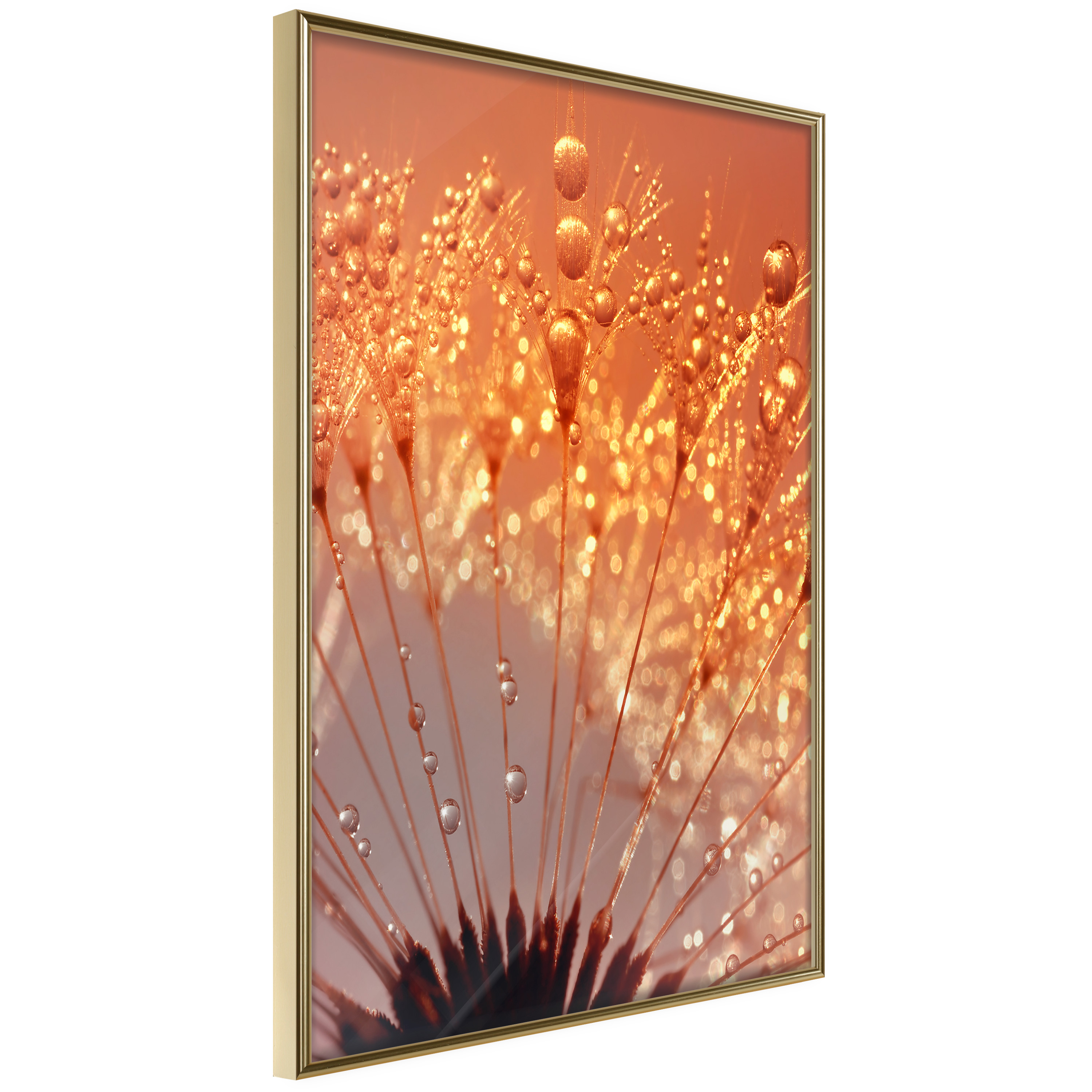 Affisch - Autumn Dandelion [Poster] 40x60 Guld ram, 40x60 cm