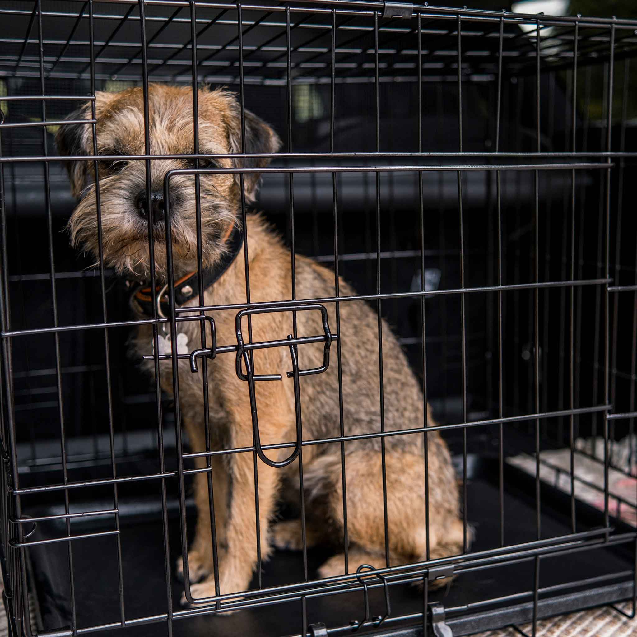 Hundbur Trekker Lättmetall XXL