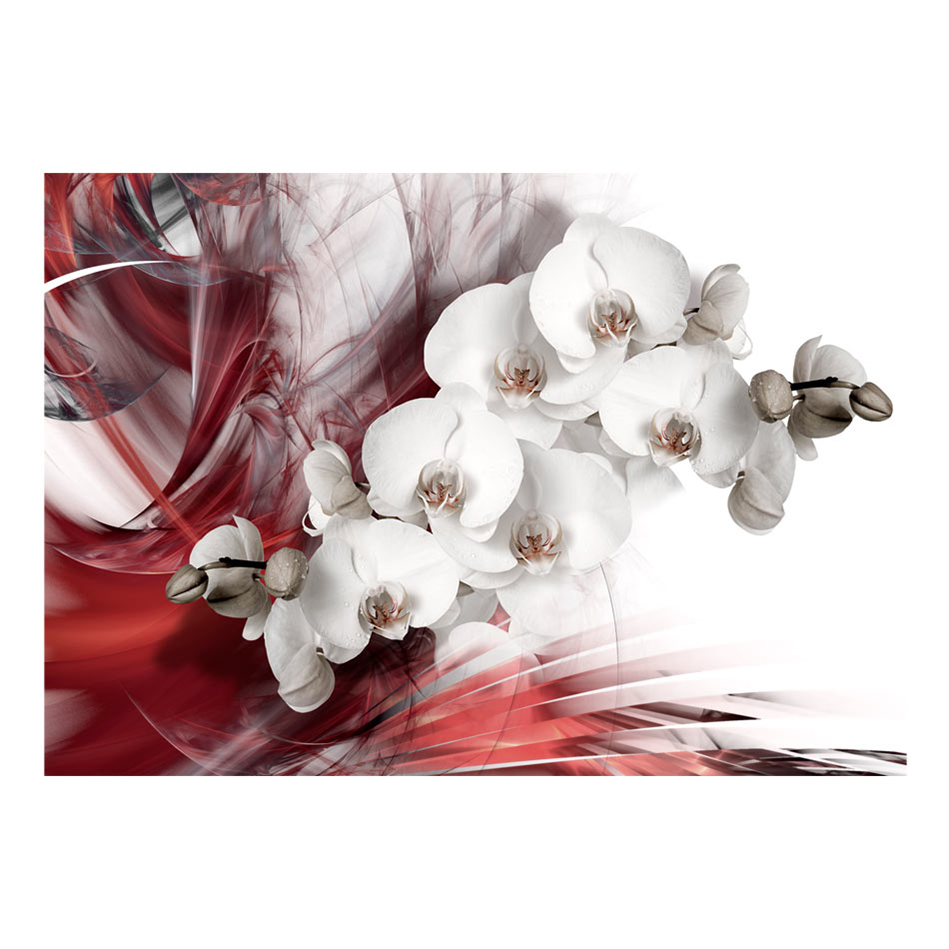 Orchid in red 150x105 Storlek: 150x105 cm