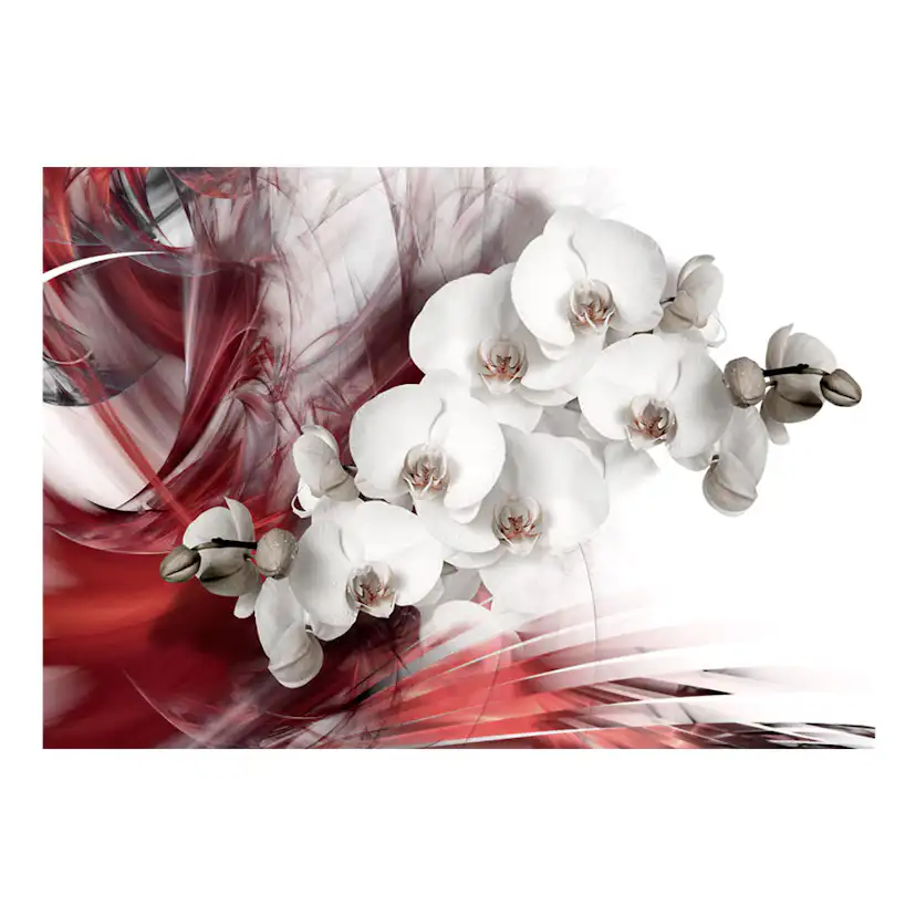 Orchid in red 150x105 Storlek: 150x105 cm