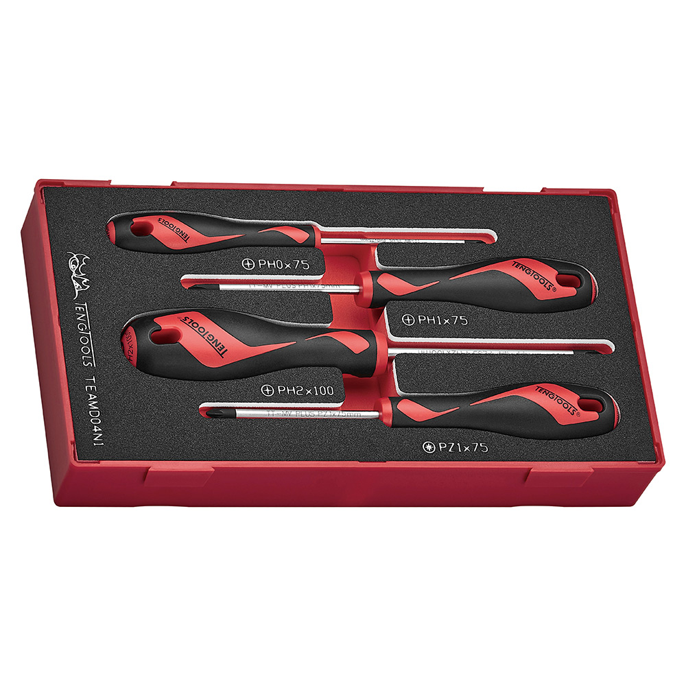 Skruvmejselsats Teng Tools 4-Delar TEAMD04N1
