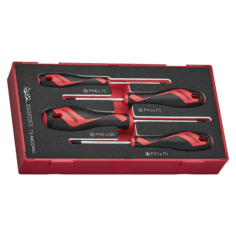 Skruvmejselsats Teng Tools 4-Delar TEAMD04N1