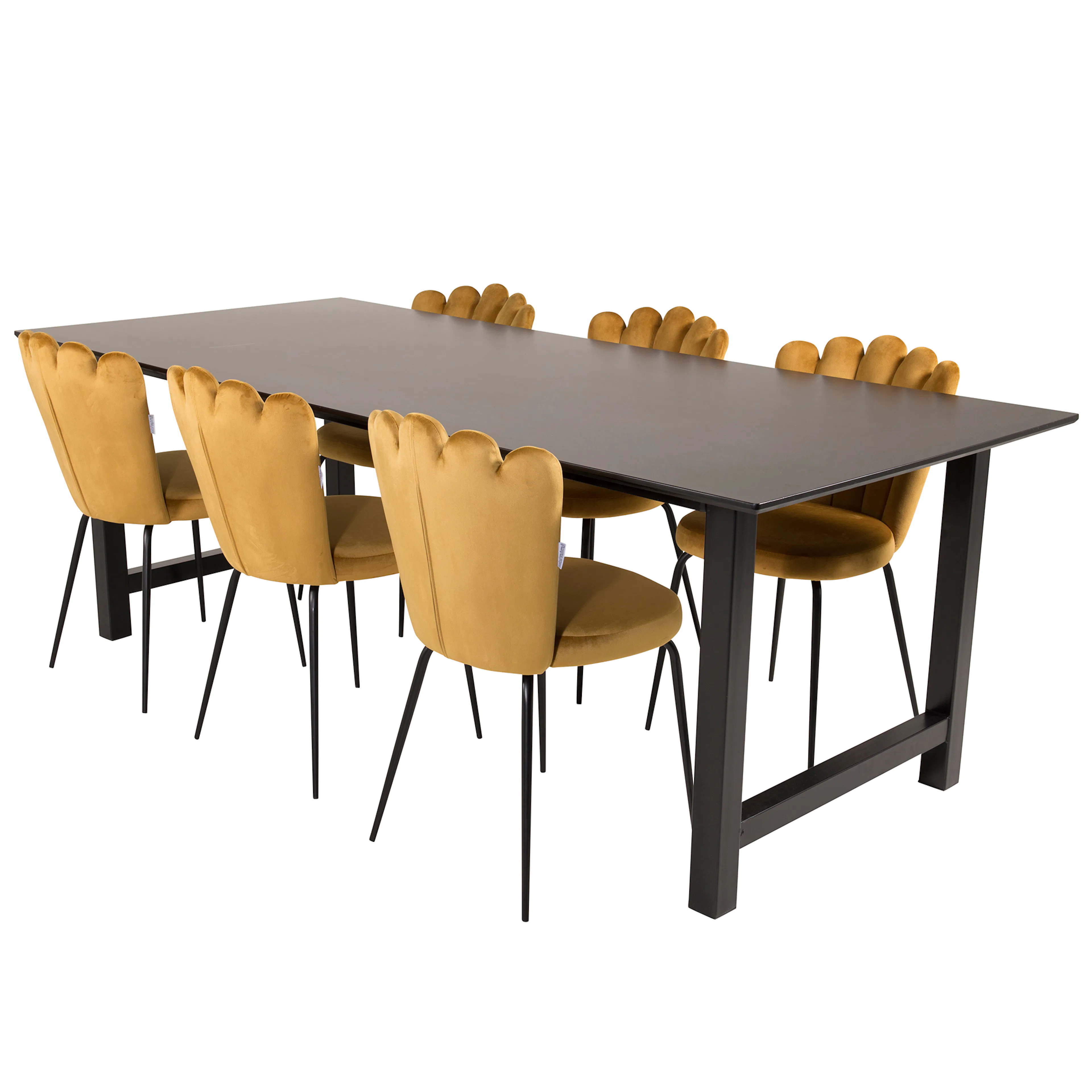 Matgrupp furniture/fashion Clara med 6 Limhamn Light Stolar