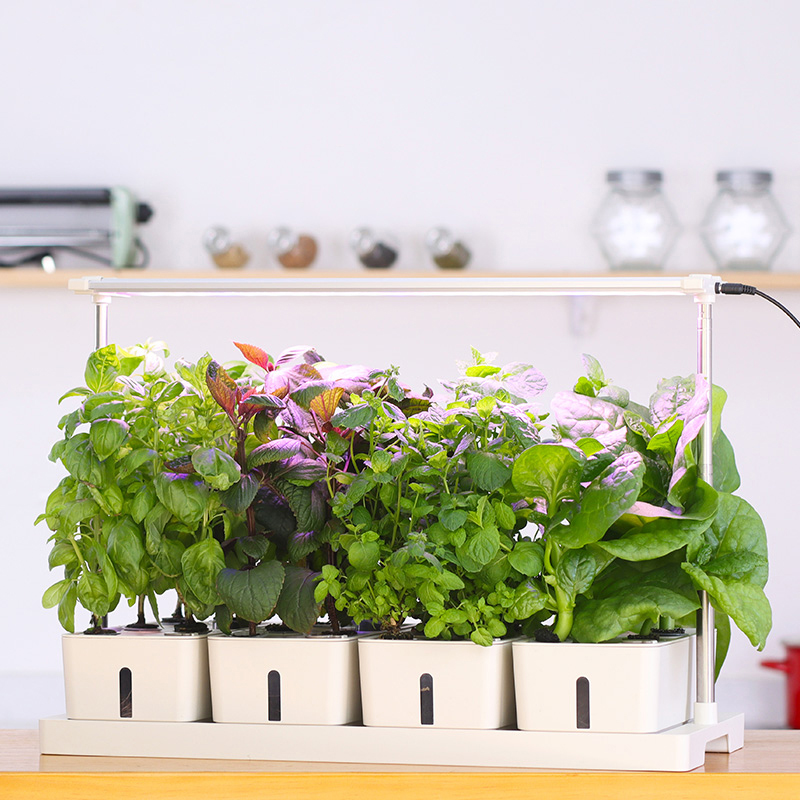 Hydroponisk Odling RobotGarden Odlingslådor Med Växtlampa & Startkit för Hemmaodling