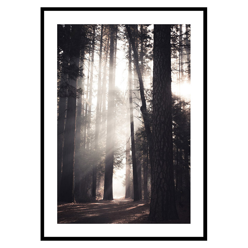 Poster Gallerix Yosemite Valley