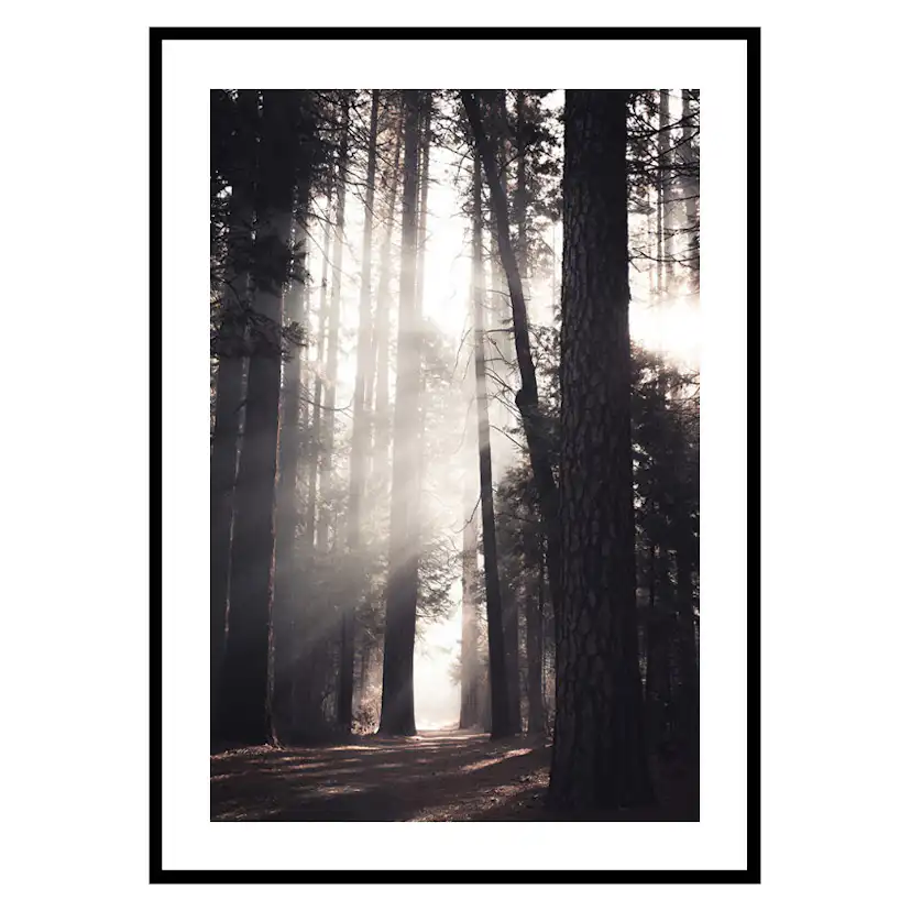 Poster Gallerix Yosemite Valley