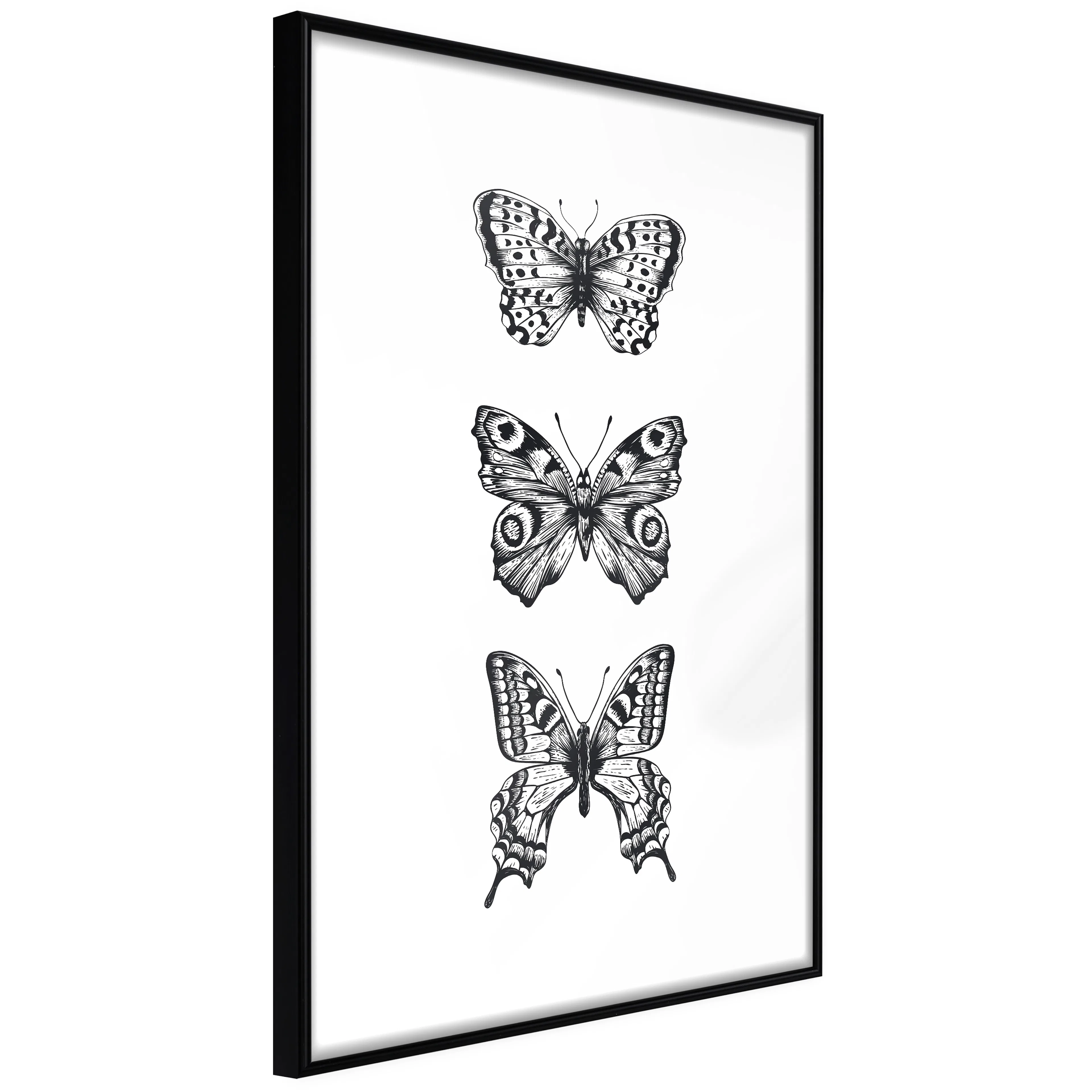 Affisch - Three Butterflies [Poster] 20x30 Svart ram, 20x30 cm