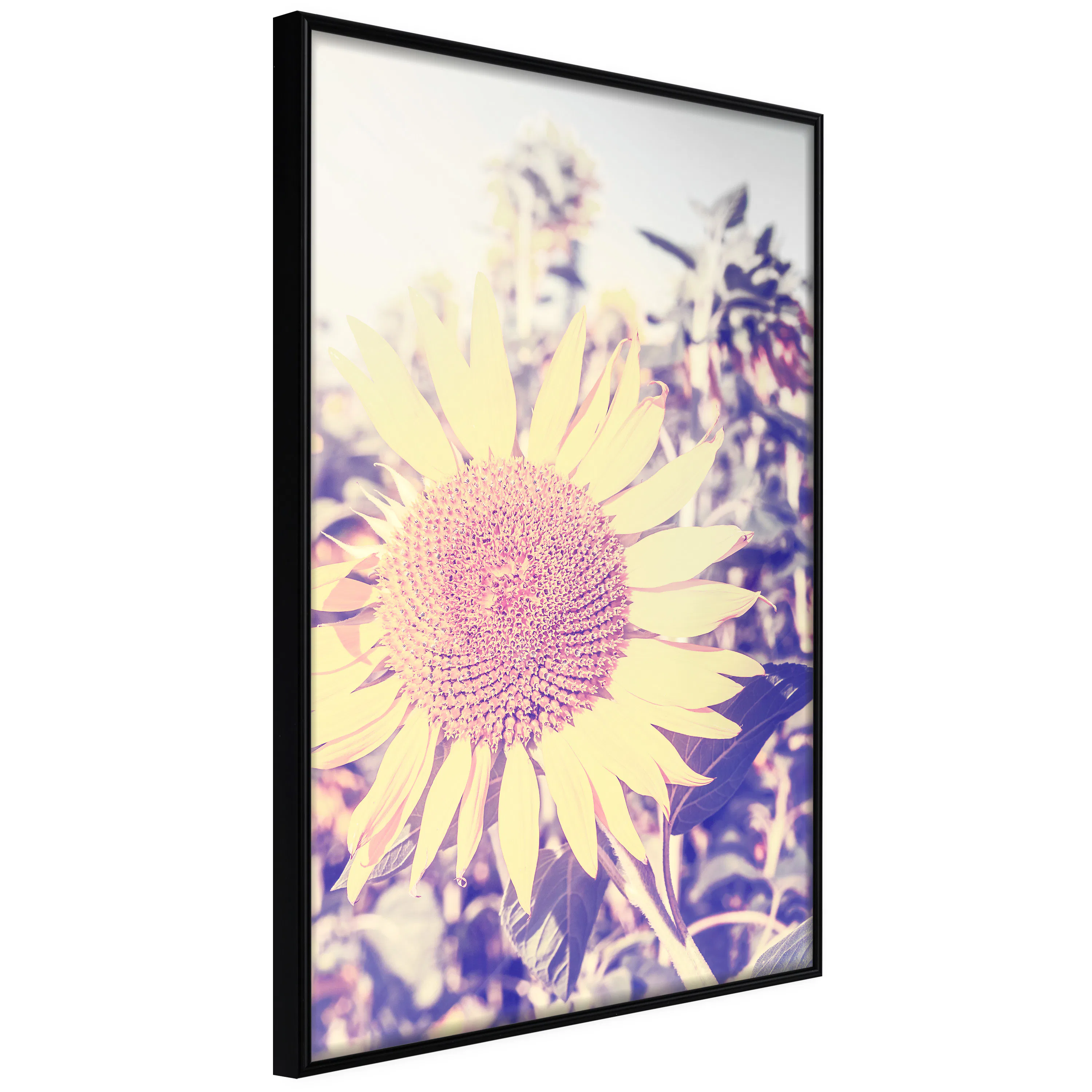 Poster Artgeist Affisch Sunflower