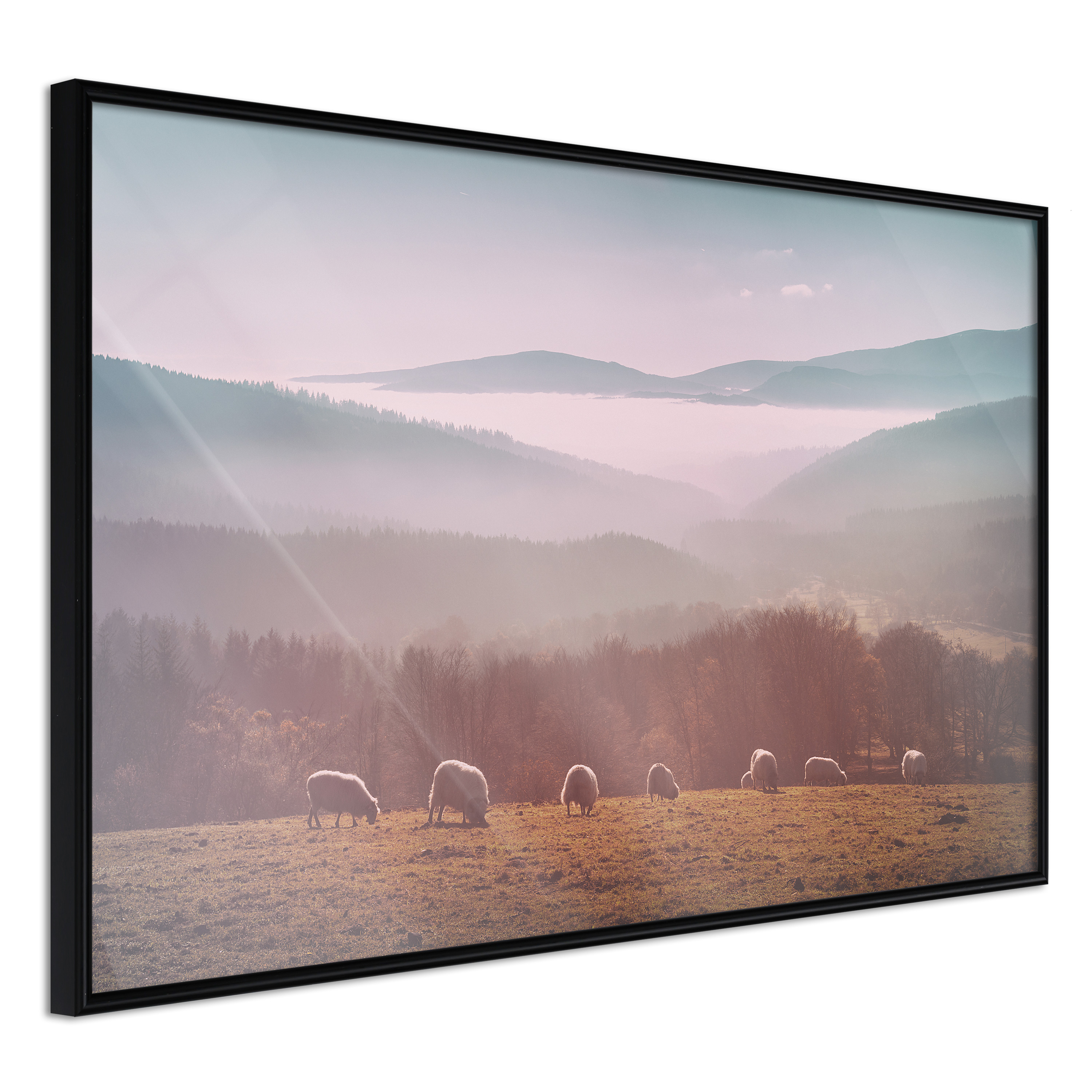Affisch - Flock of Sheep [Poster] 60x40 Svart ram, 60x40 cm