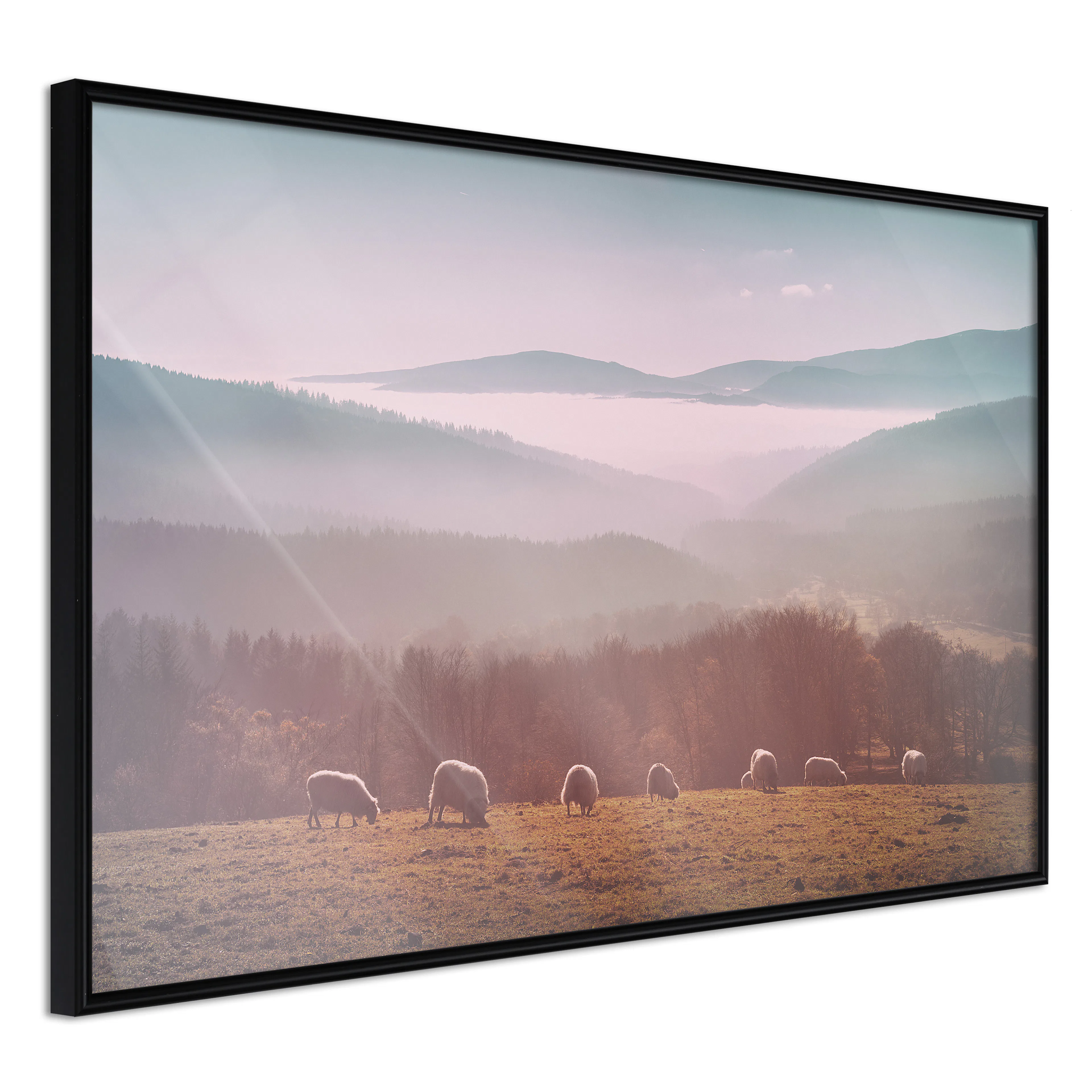 Affisch - Flock of Sheep [Poster] 60x40 Svart ram, 60x40 cm