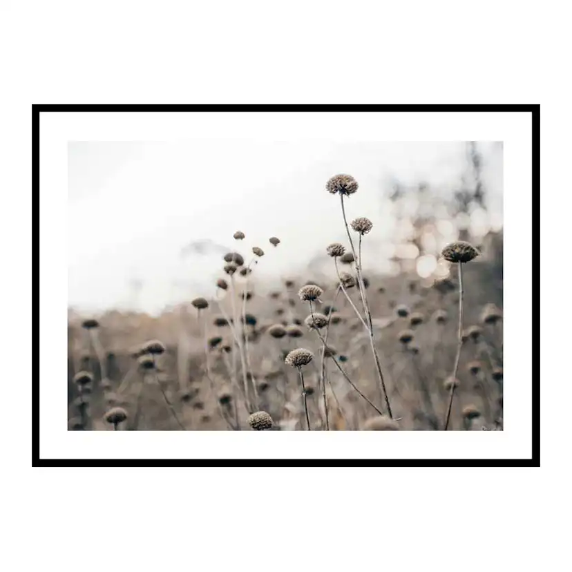 Poster Gallerix Monochromatic Flowers