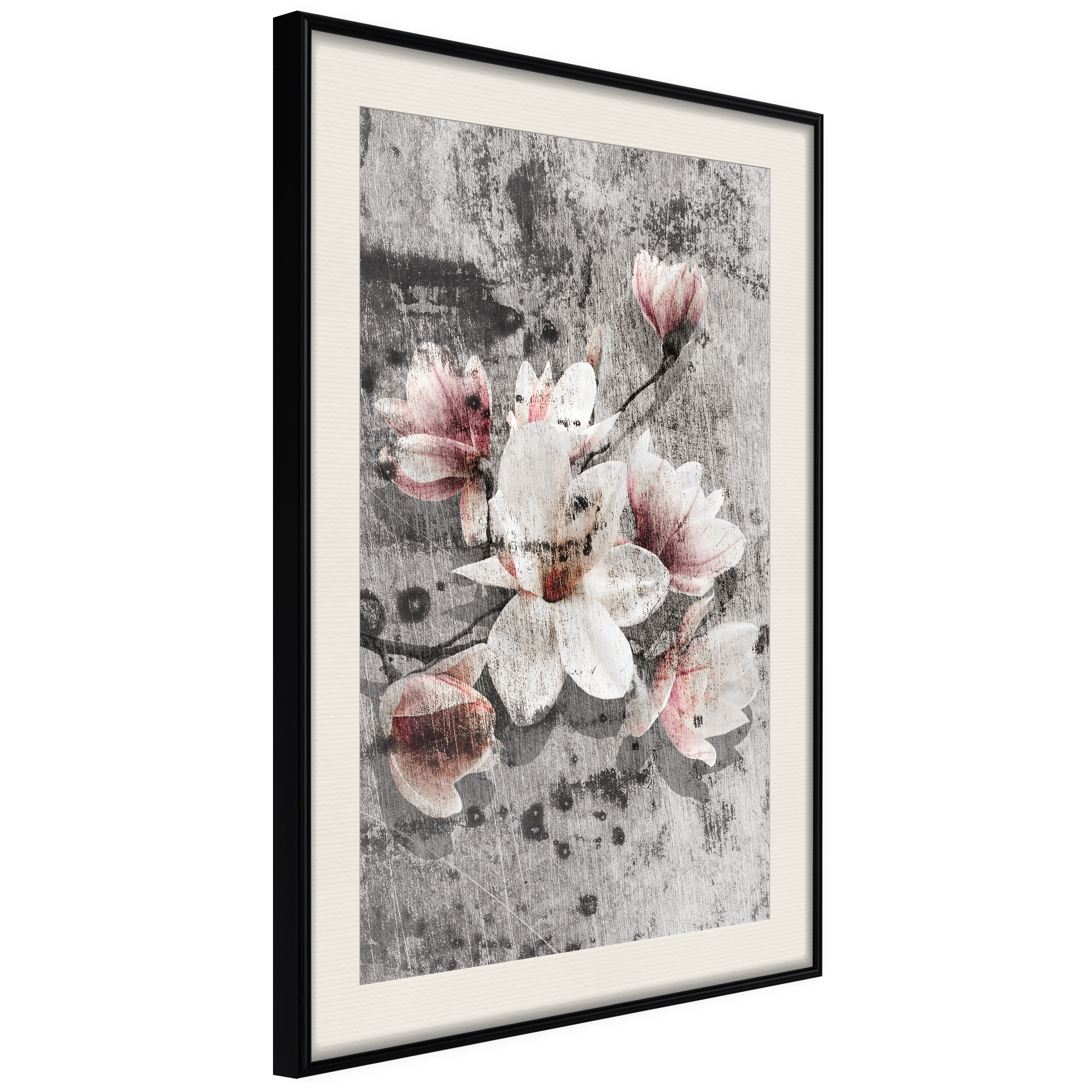 Affisch - Magnolias [Poster] 40x60 Svart ram med passepartout, 40x60 cm
