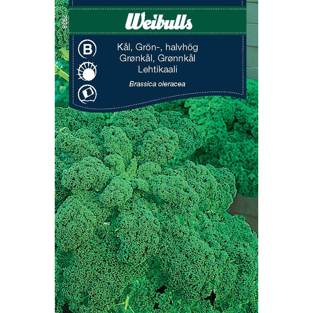 Frö Kål Weibulls Grönkål