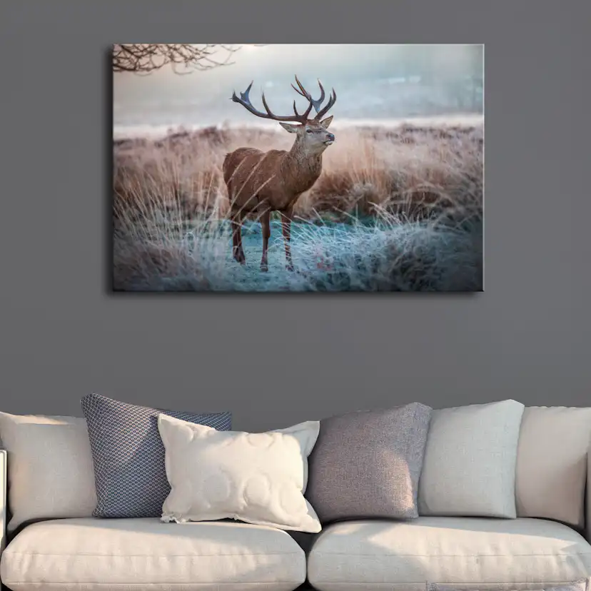 Tavla Arkiio Wild Animal