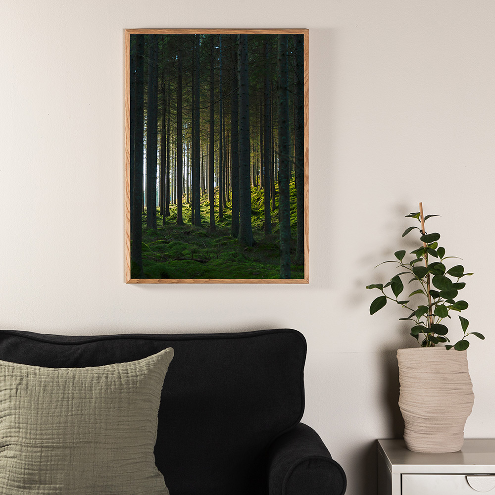 Posters Venture Home Woods Svart/grön