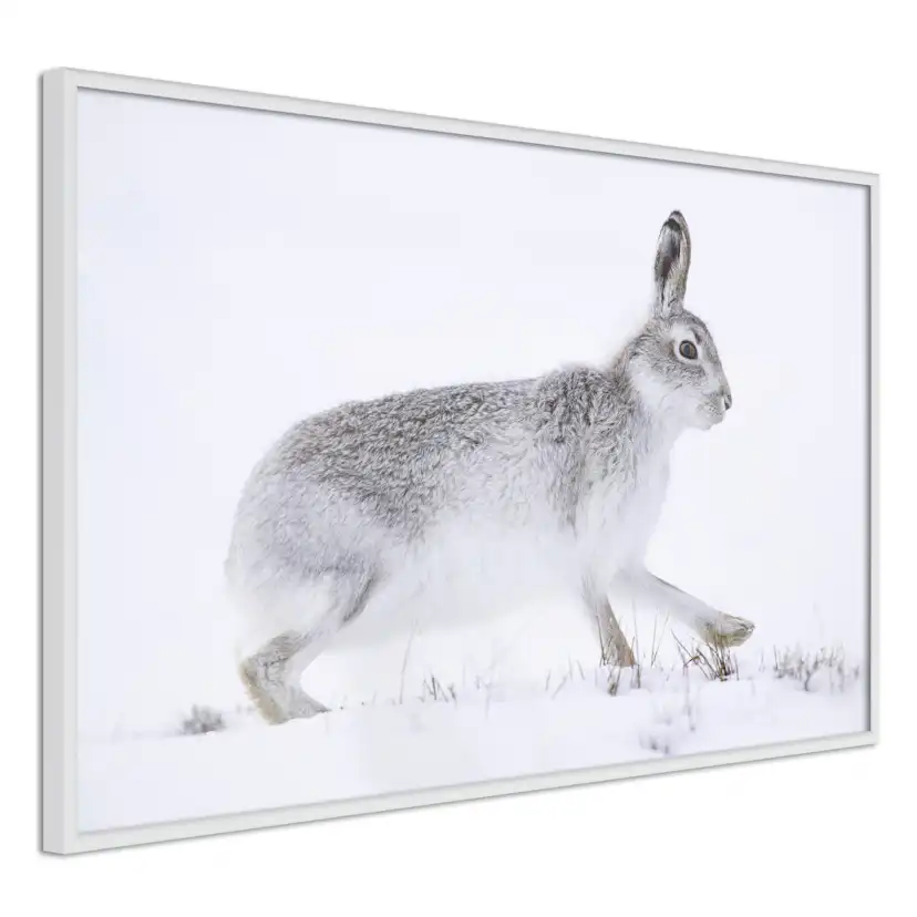Poster Artgeist Affisch Rabbit