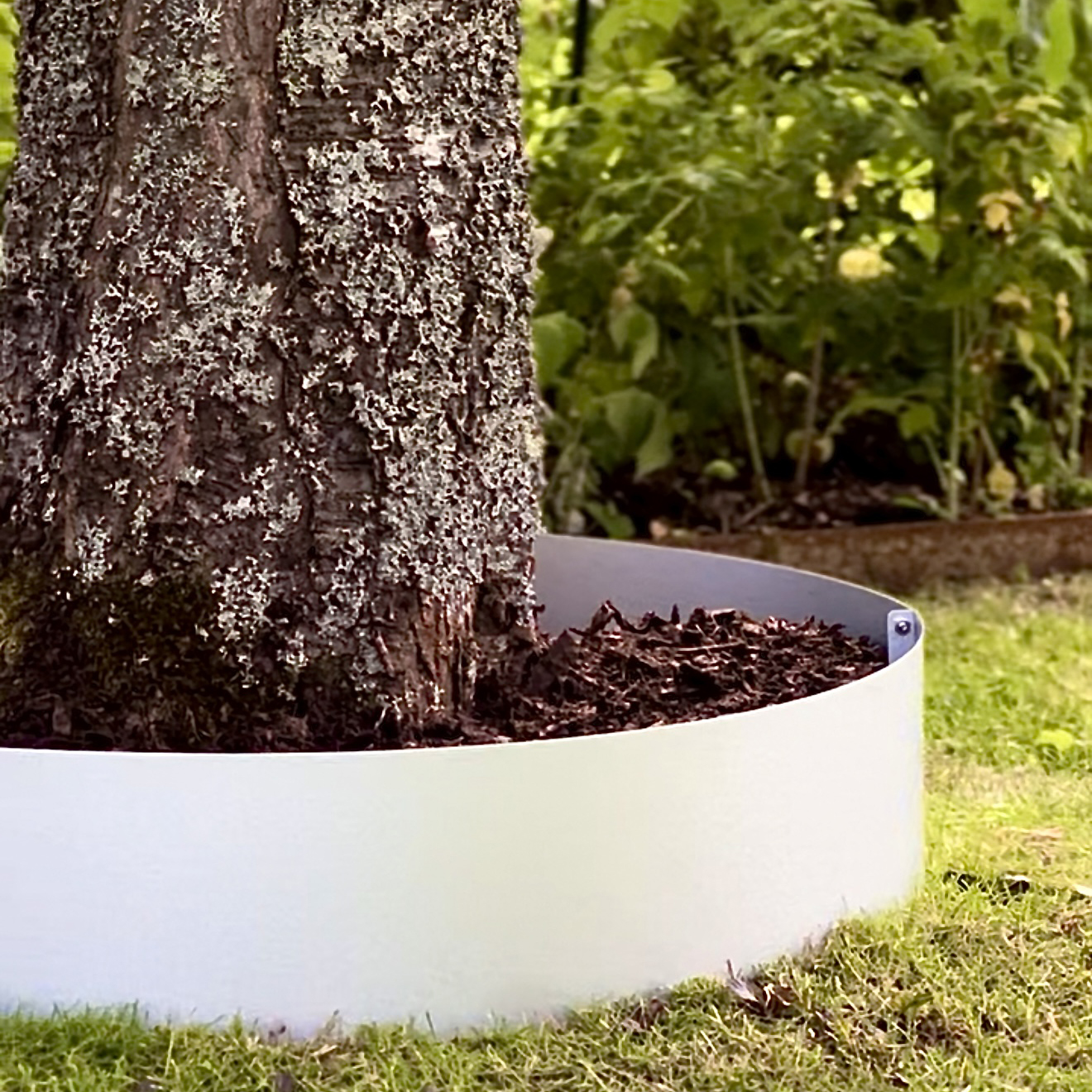 Rabattkant Skotte Garden Trädring Corten Hög 16cm ⌀65 cm Gräskant Silver Zinkplåt