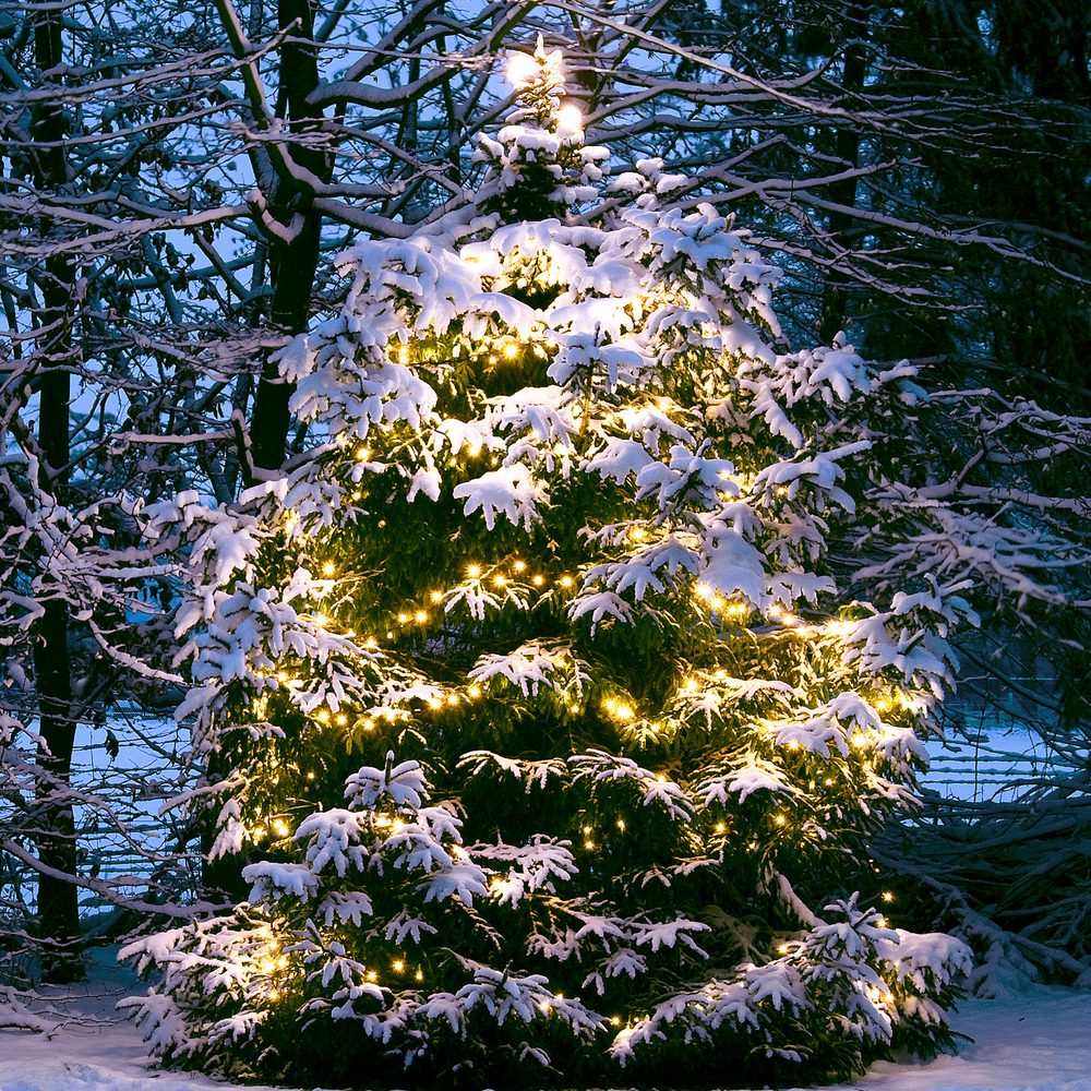 Ljusslinga LightsOn Twinky Pro 10m