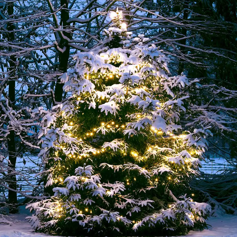 Ljusslinga LightsOn Twinky Pro 10m