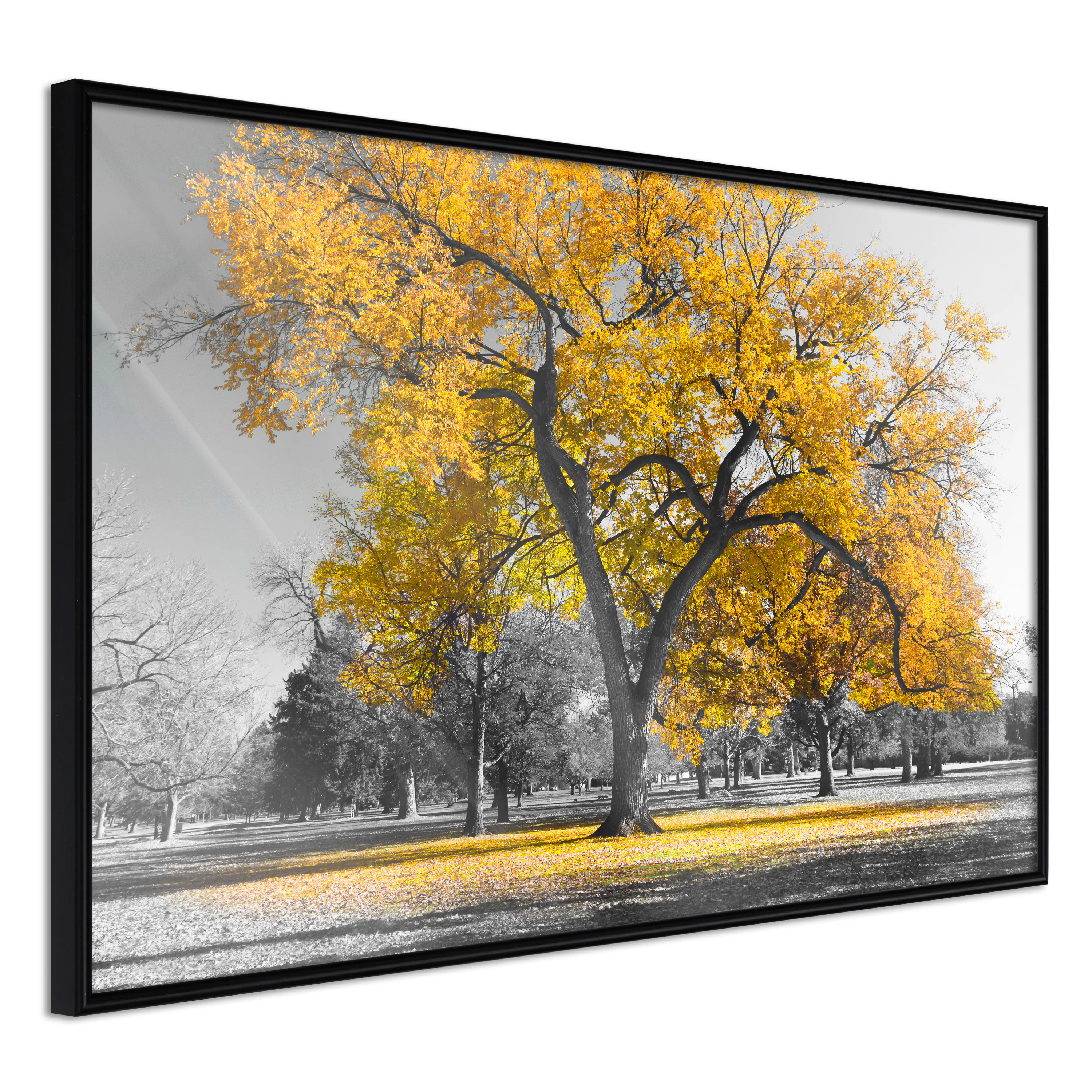 Poster Artgeist Affisch Autumn in the Park Gold