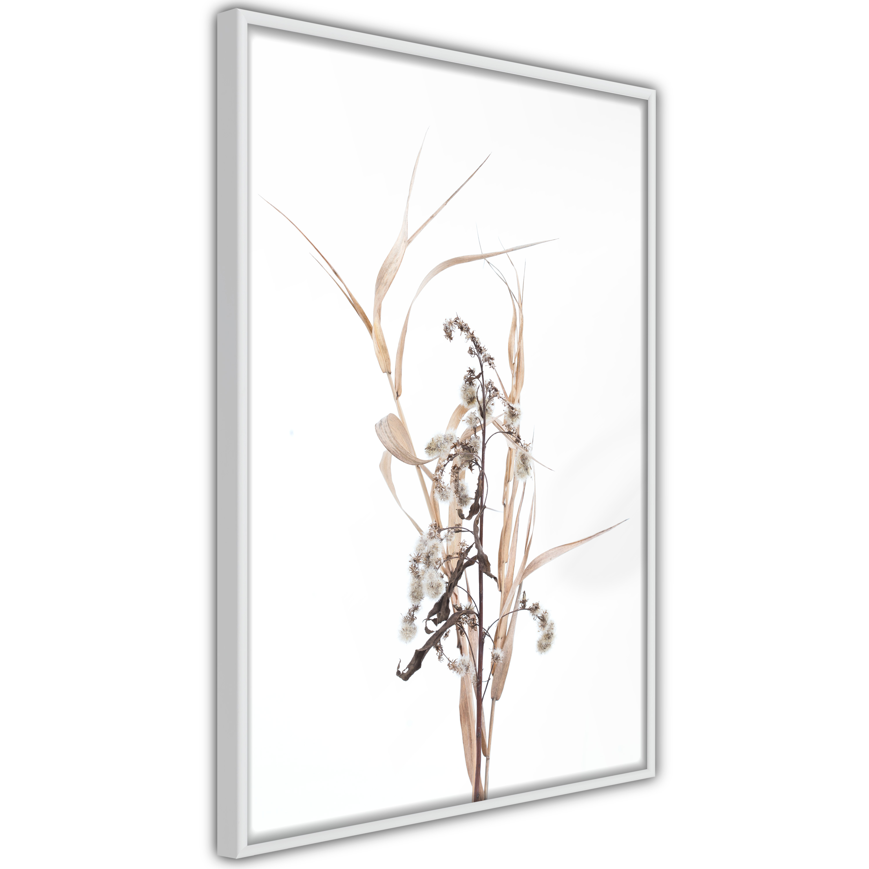 Poster Artgeist Affisch Composition of Herbs