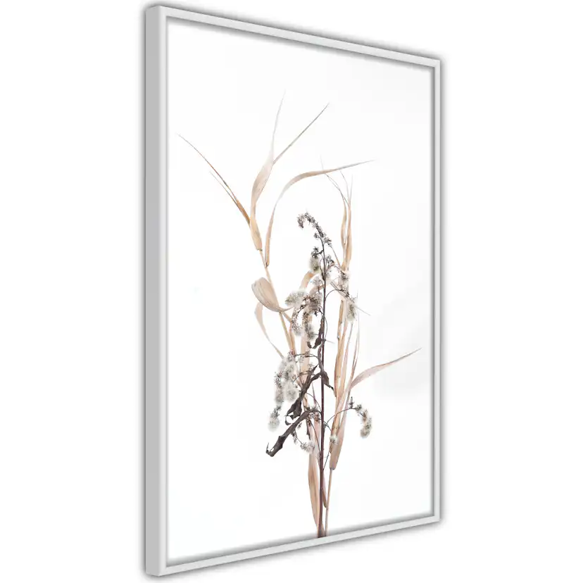 Poster Artgeist Affisch Composition of Herbs