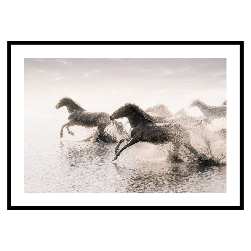 Poster Gallerix Wild Horses Running