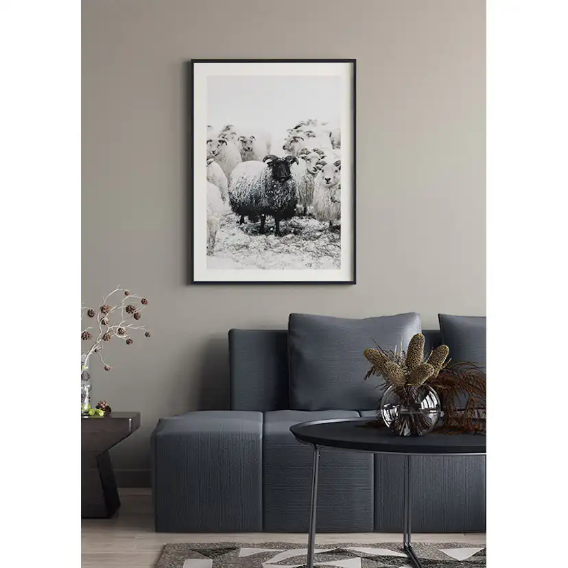 Poster Gallerix Winter Sheep