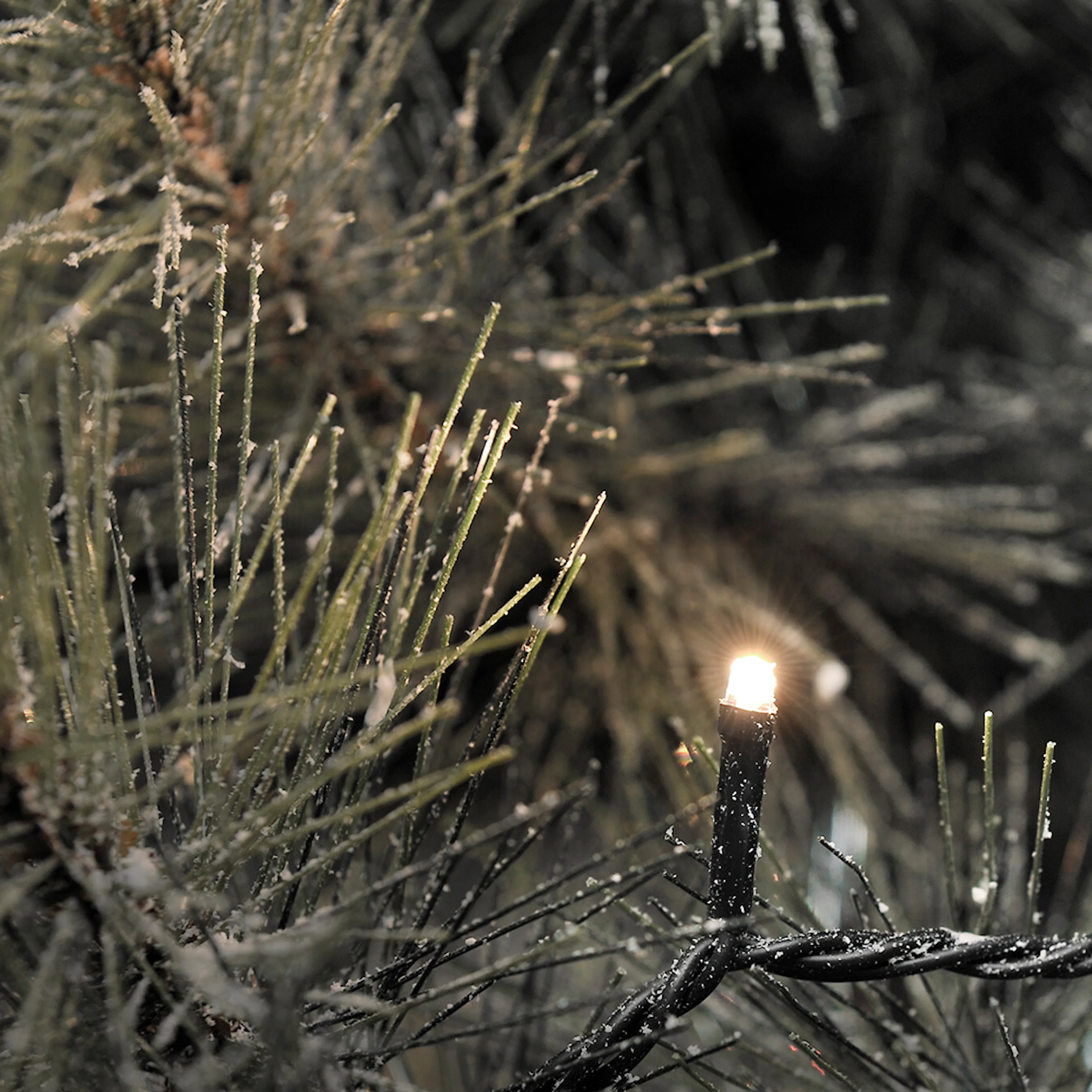 Ljusslinga Gnosjö Konstsmide 80 st Mikro LED 1