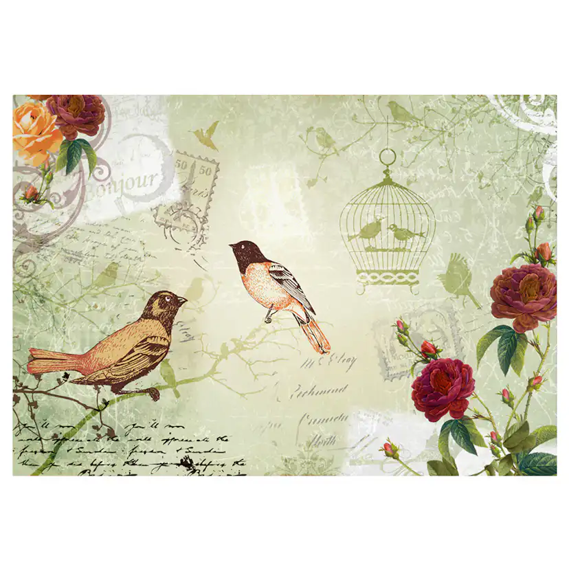 Vintage birds 300x210 Storlek: 300x210 cm