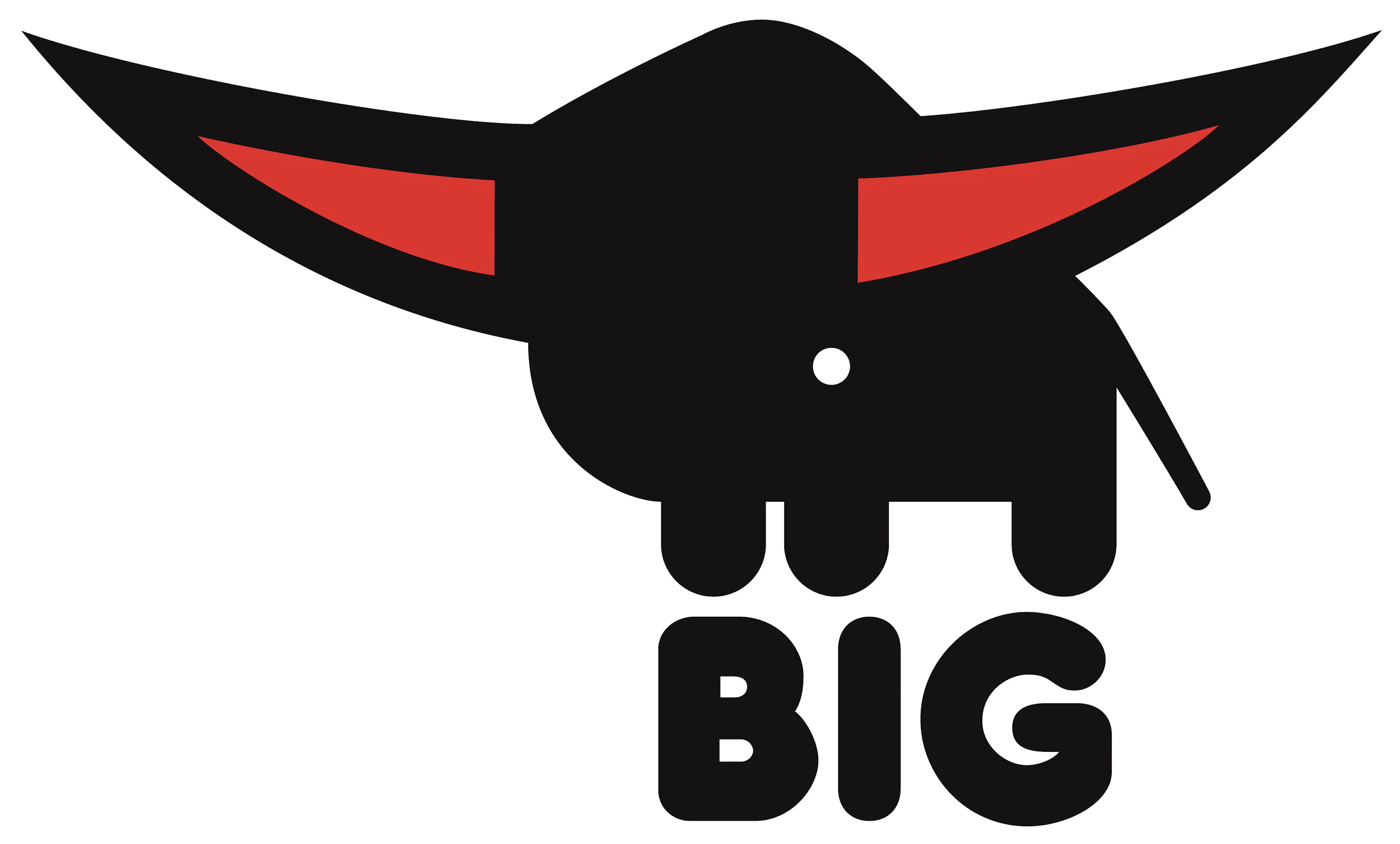 BIG logo