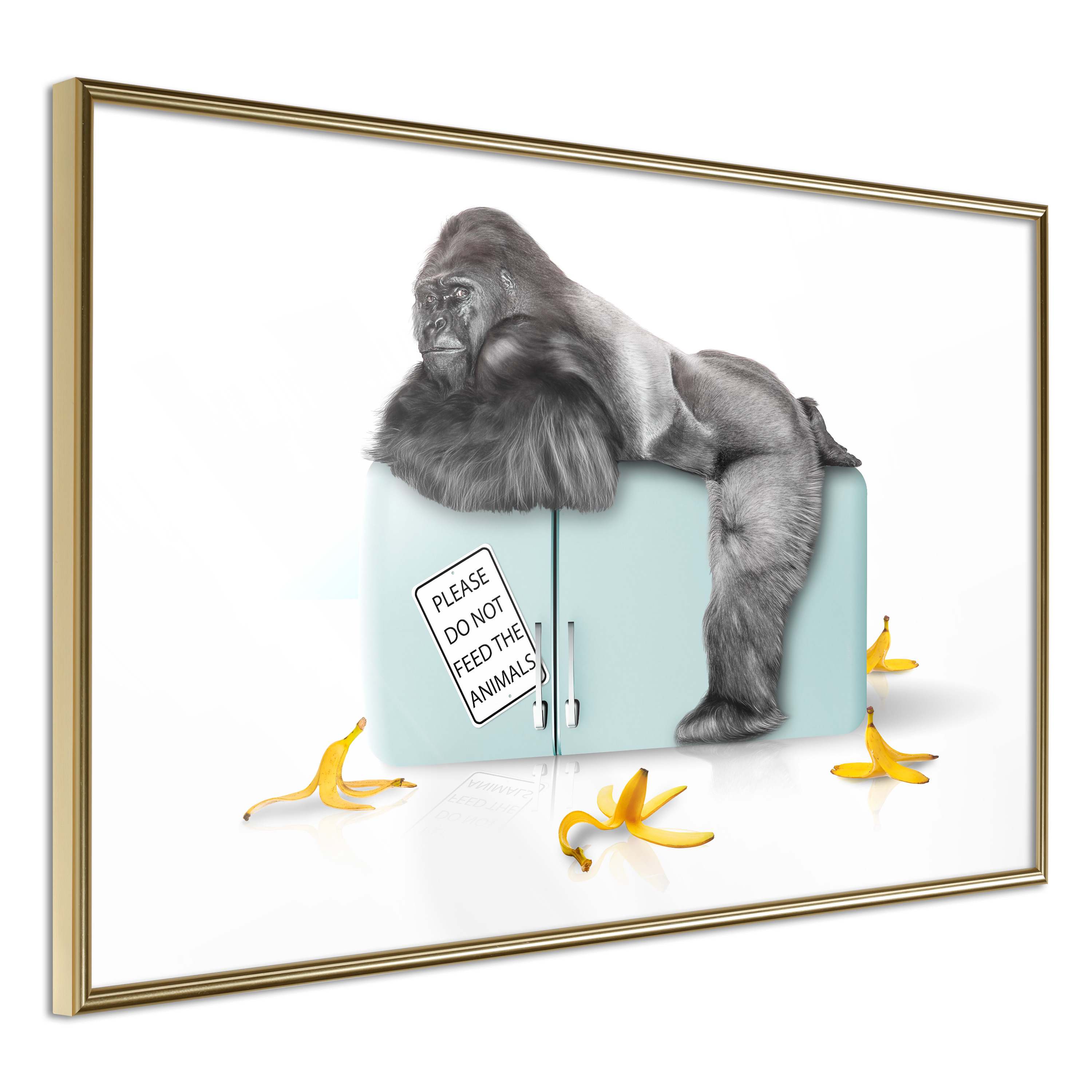 Affisch - Hungry Gorilla [Poster] 60x40 Guld ram, 60x40 cm