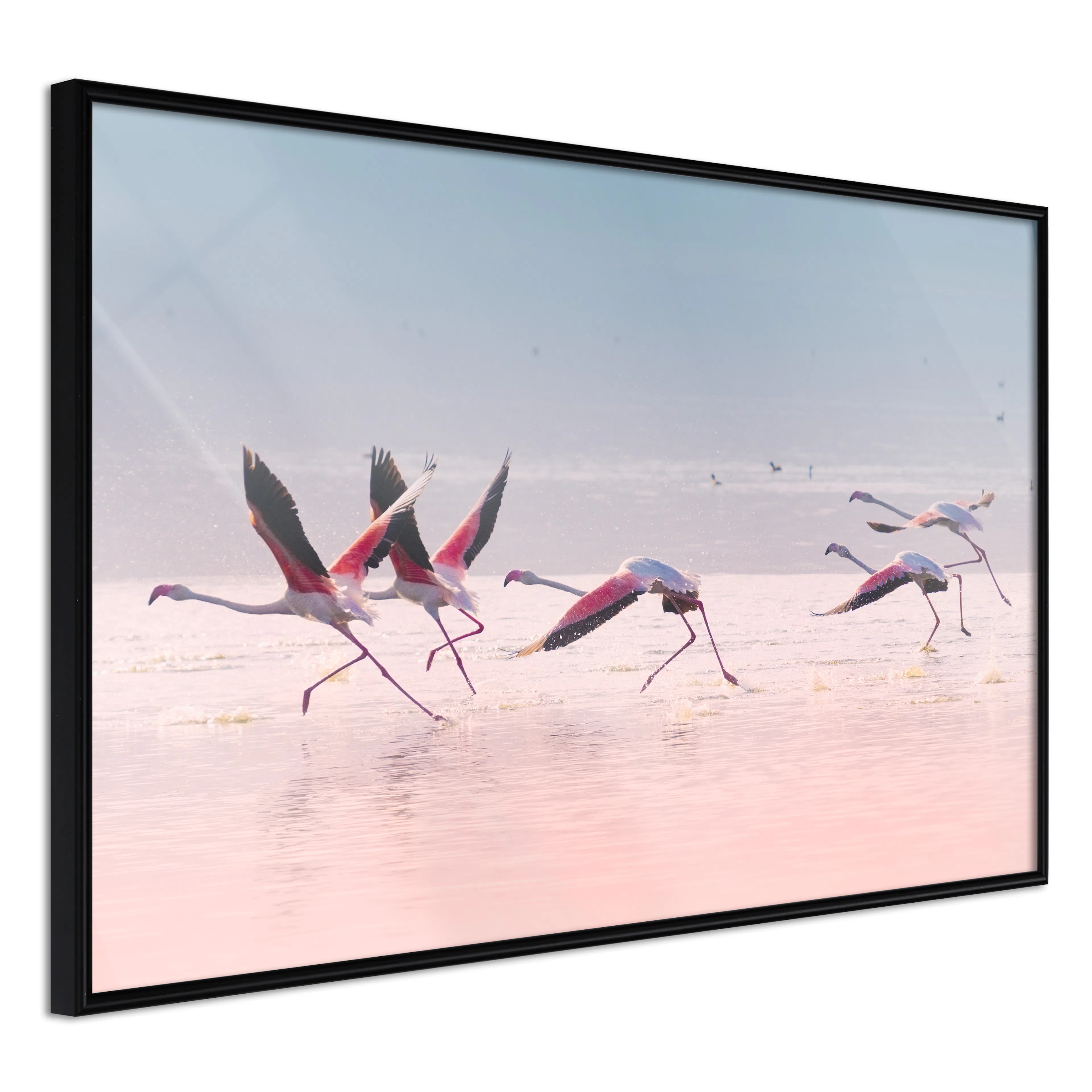 Affisch - Flamingos Race [Poster] 60x40 Svart ram, 60x40 cm