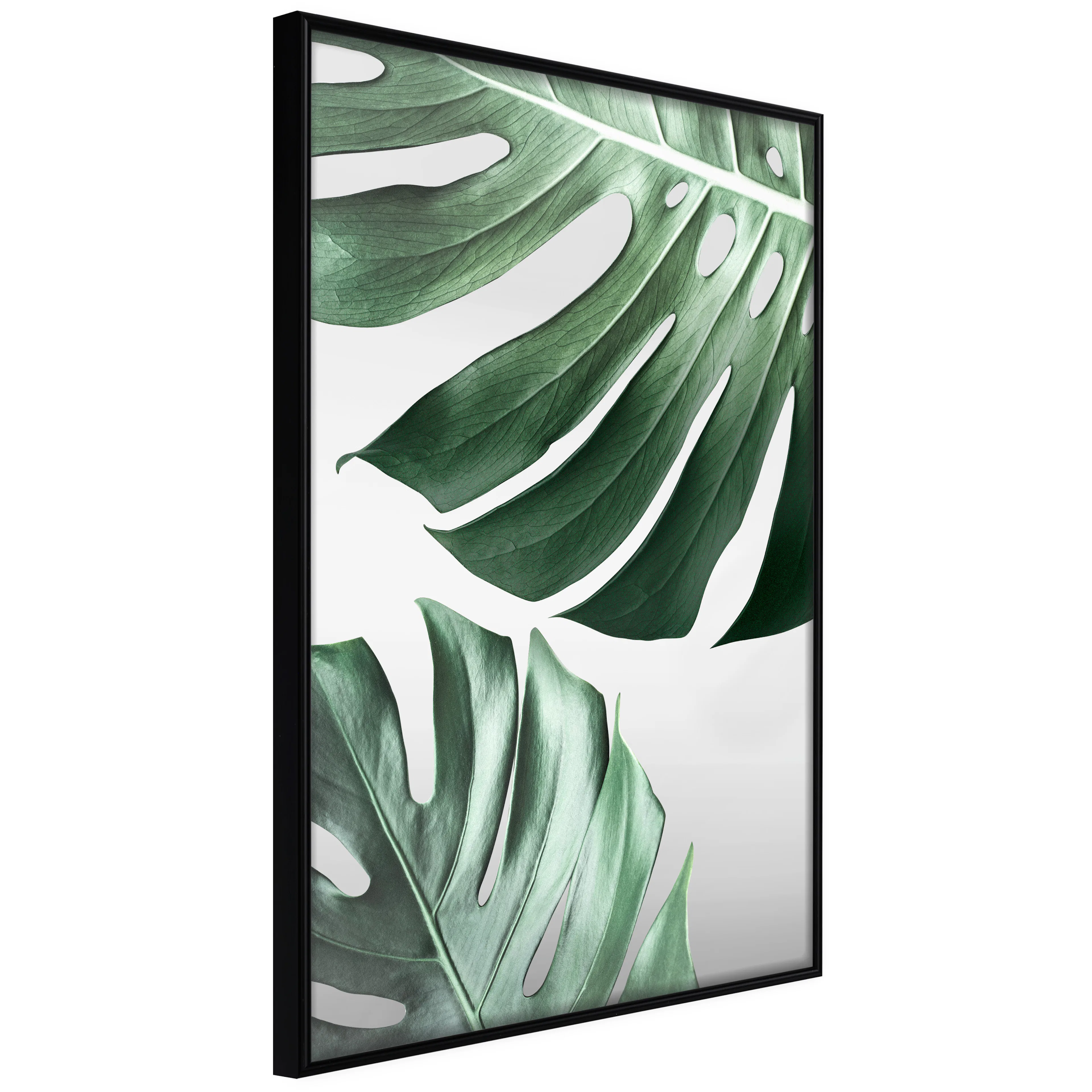 Poster Artgeist Affisch Monstera Leaves
