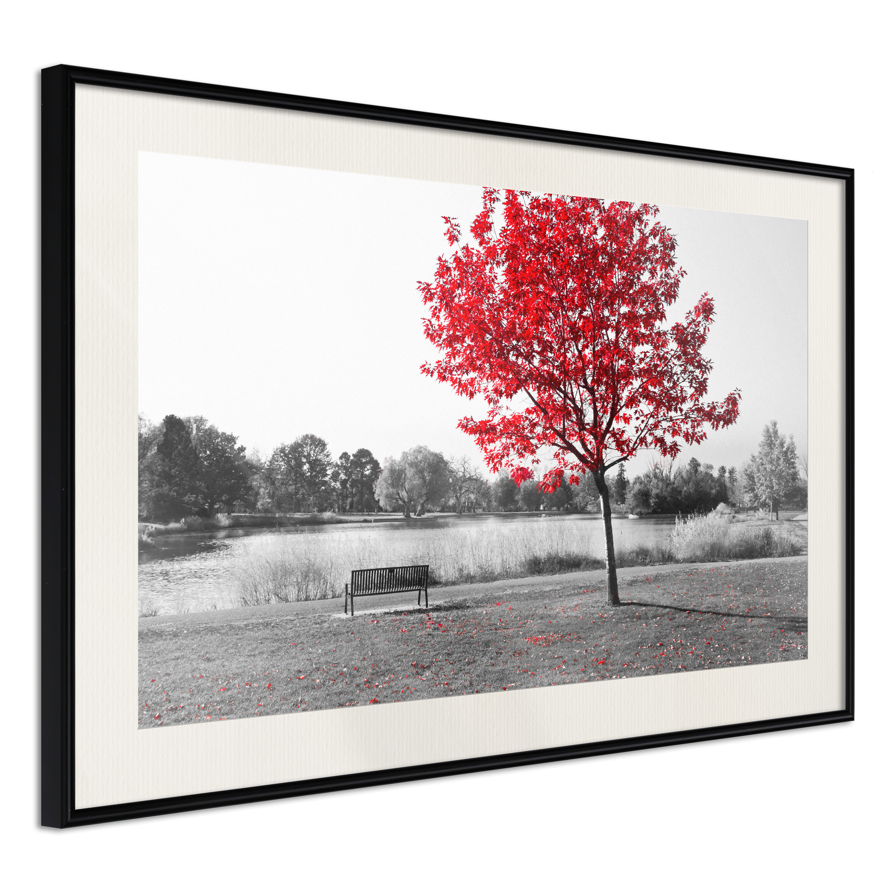Affisch - Red Tree [Poster] 45x30 Svart ram med passepartout, 45x30 cm