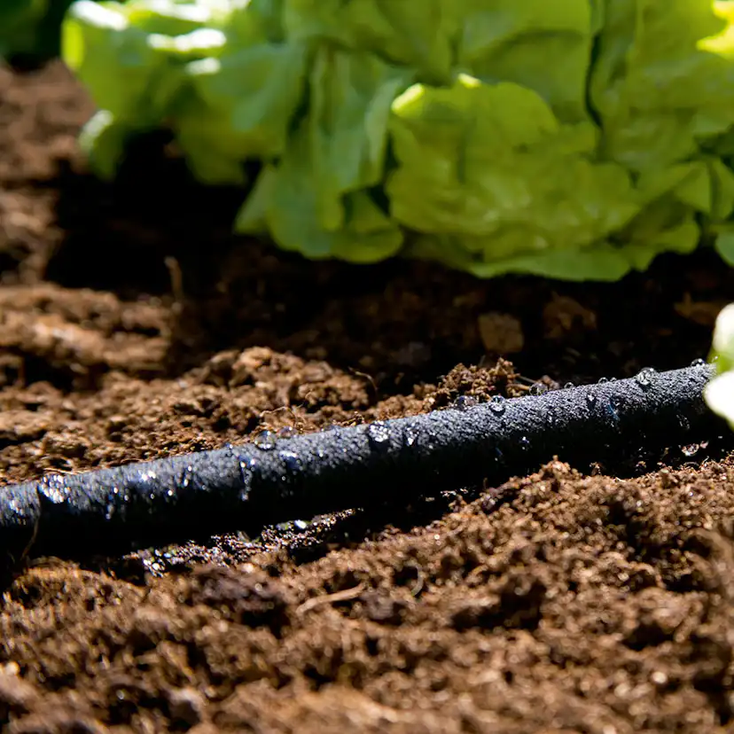 Fuktslang Gardena 15 m