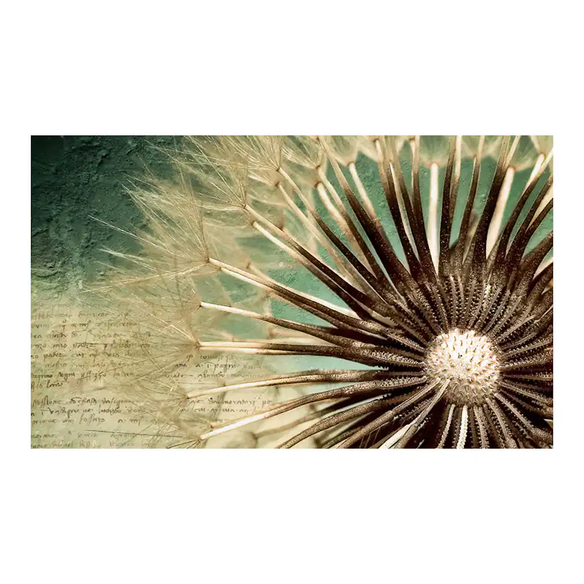 Fototapet Arkiio Story of the Summer 450x270 cm