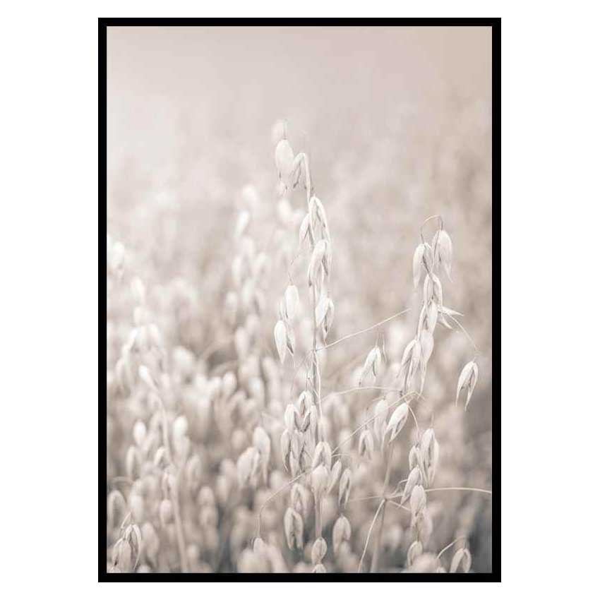 Poster Gallerix Oats No2