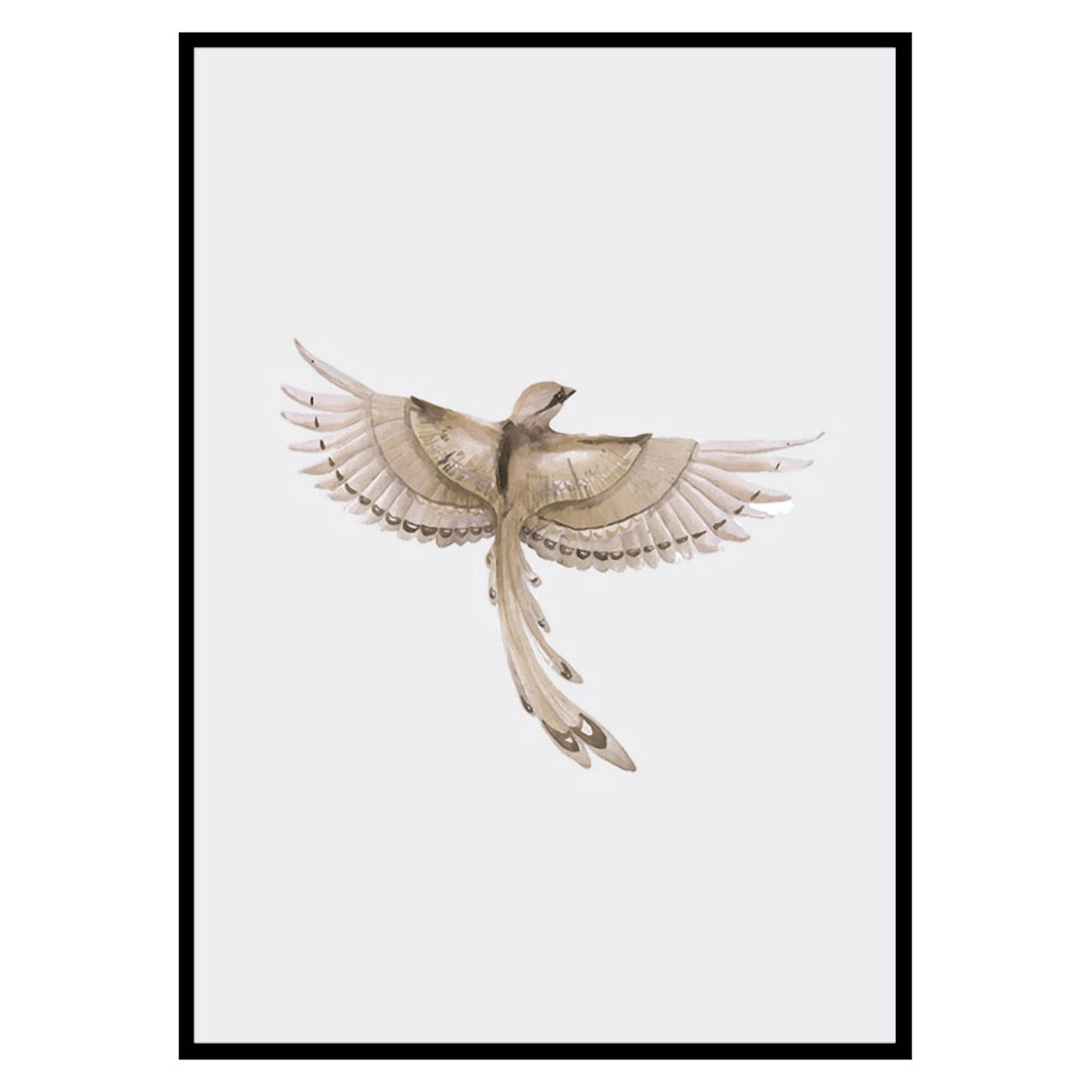 Poster Gallerix Watercolor Jay Bird