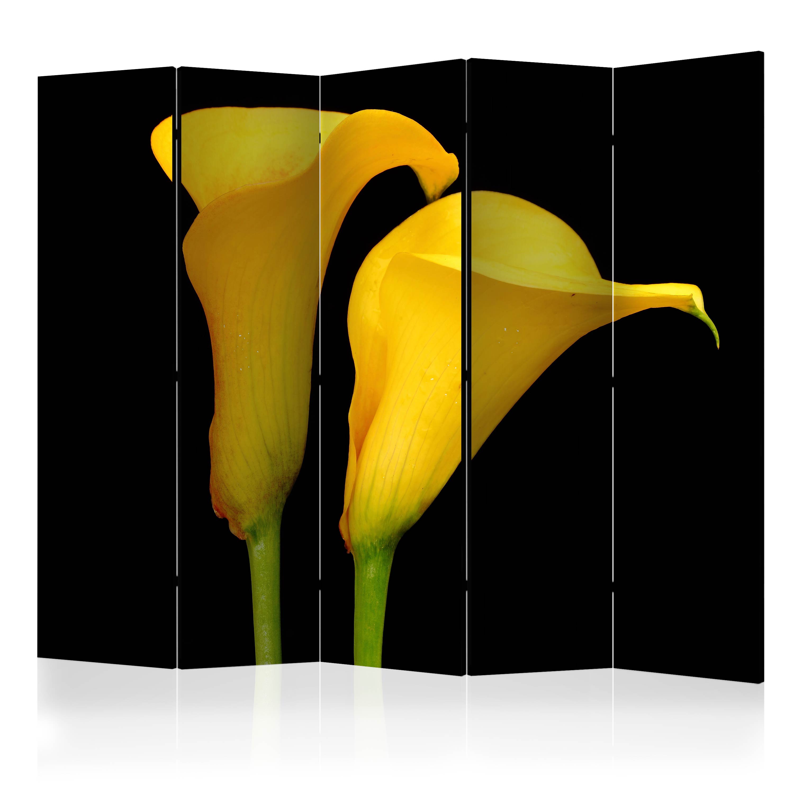 Rumsavdelare Arkiio Two Yellow Calla Flowers On A Black Background II 225x172 cm