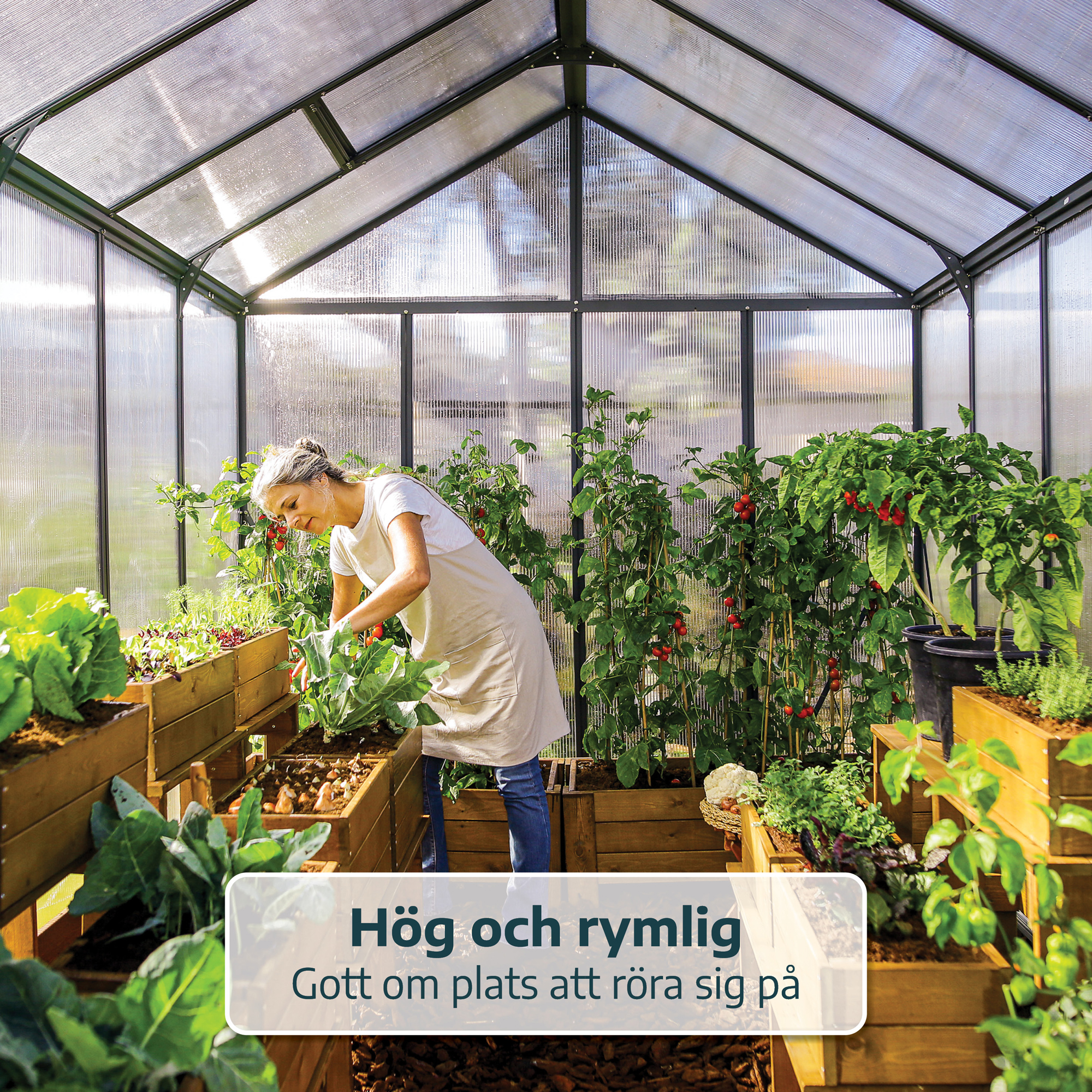 Växthus Canopia by Palram Glory Aluminiumram med UV-Skyddad Polykarbonat & Automatisk Ventilationsöppnare, 6,2 m²