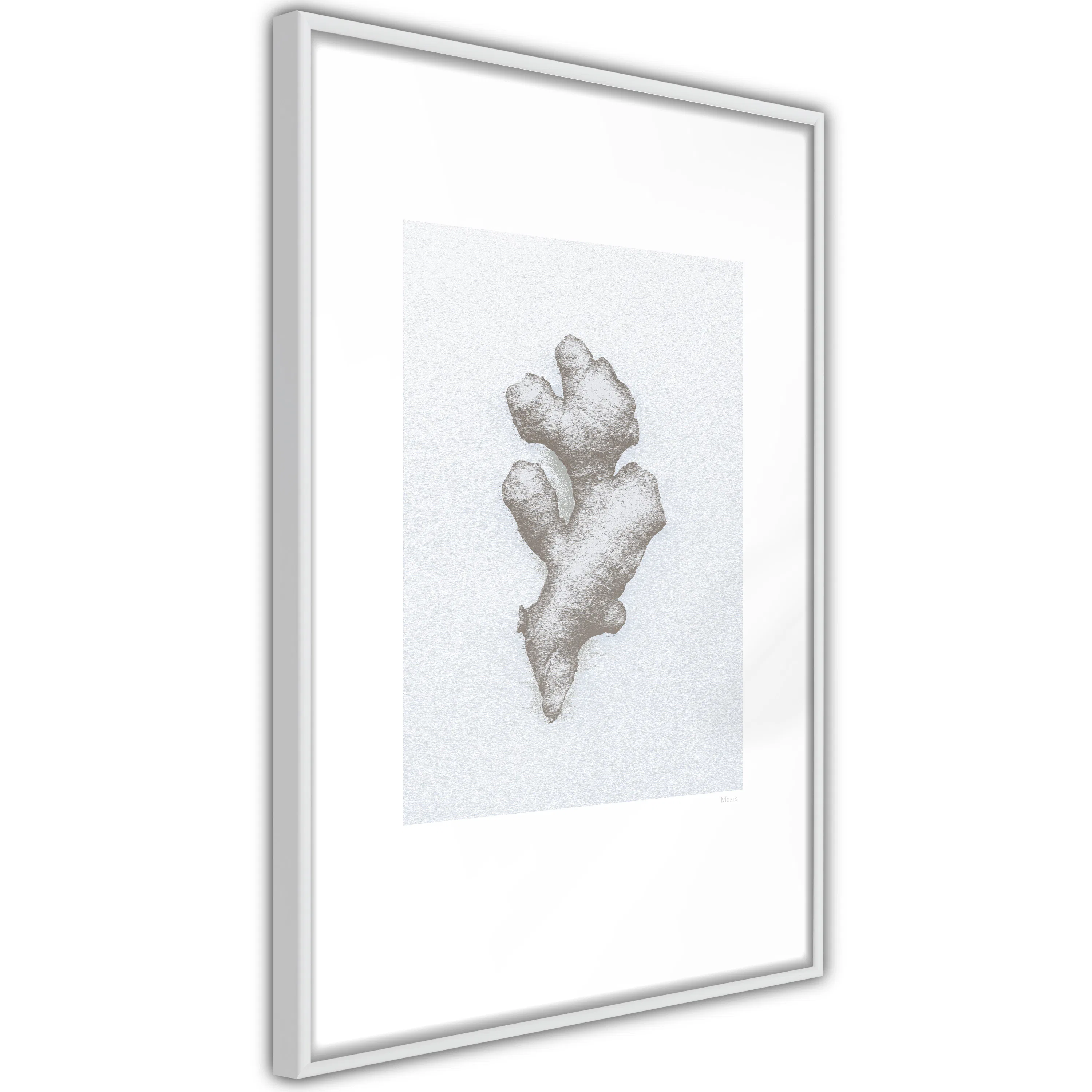 Poster Artgeist Affisch Ginger