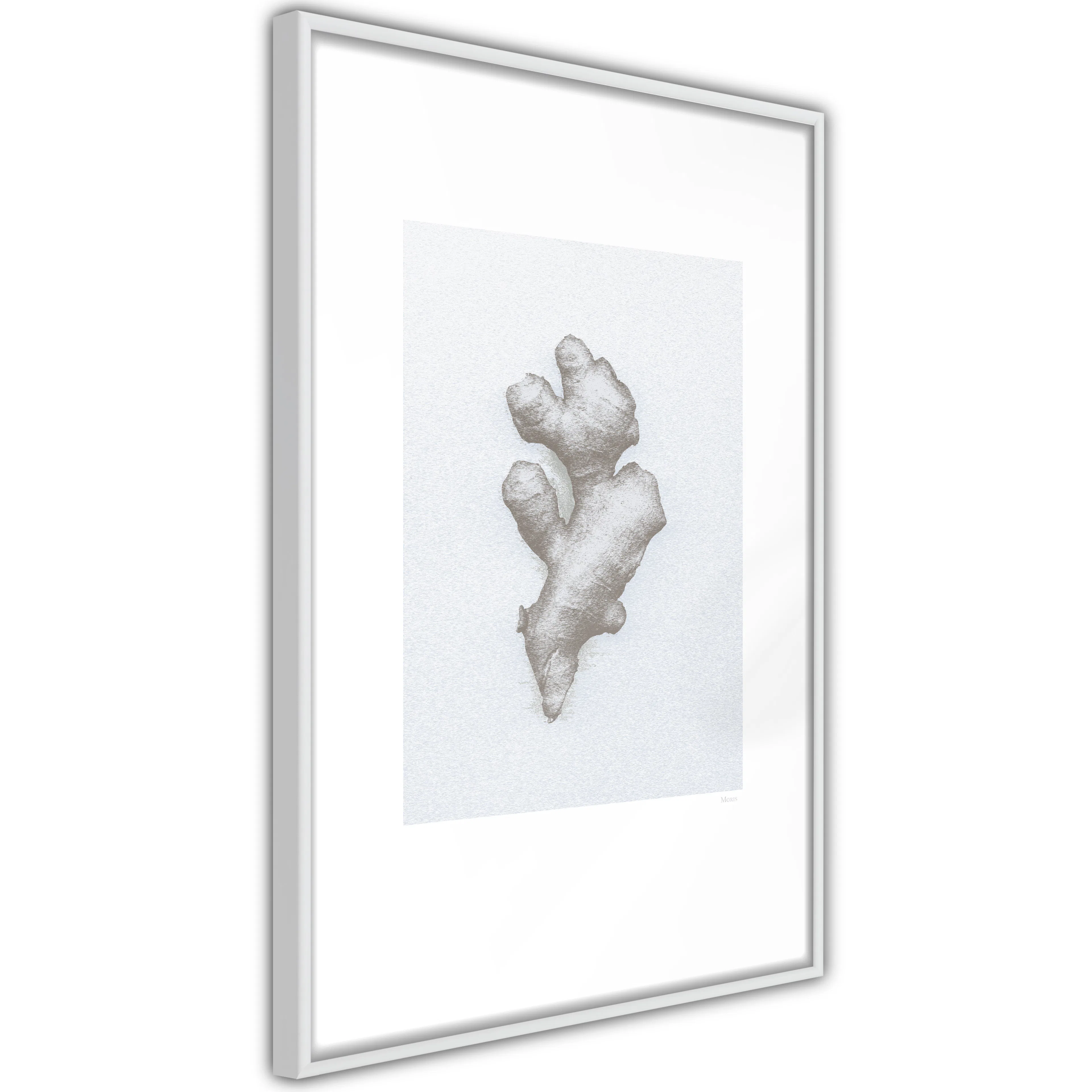 Poster Artgeist Affisch Ginger